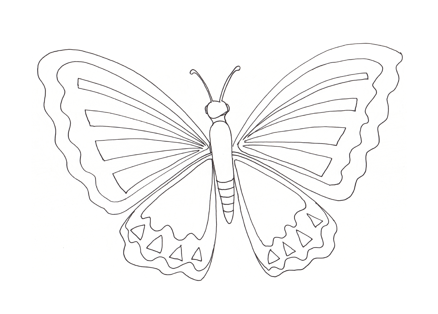 coloriage papillon 10