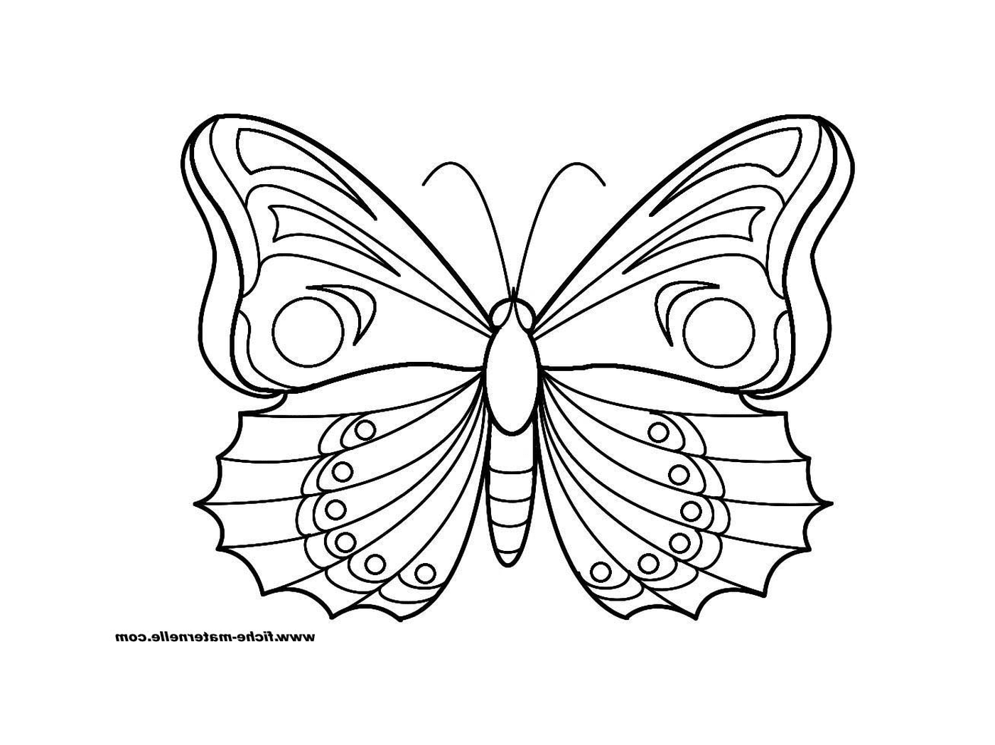 coloriage papillon 15