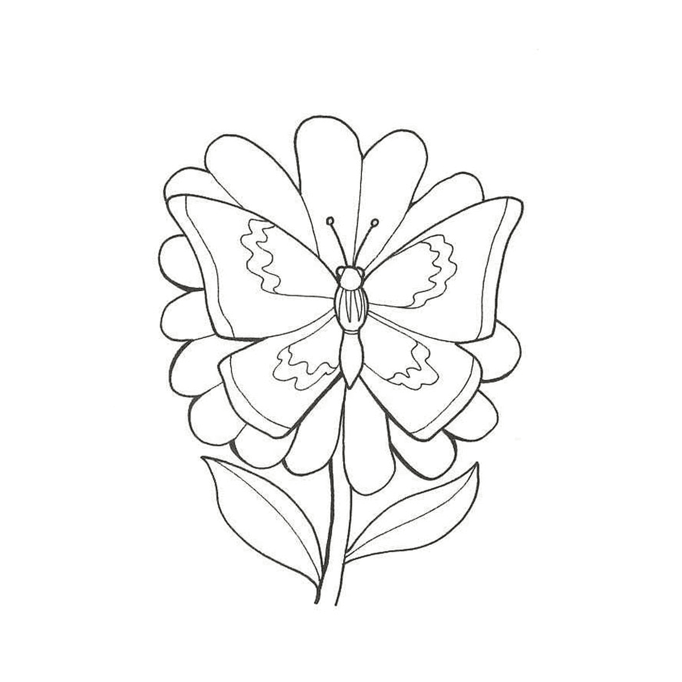 fleur papillon