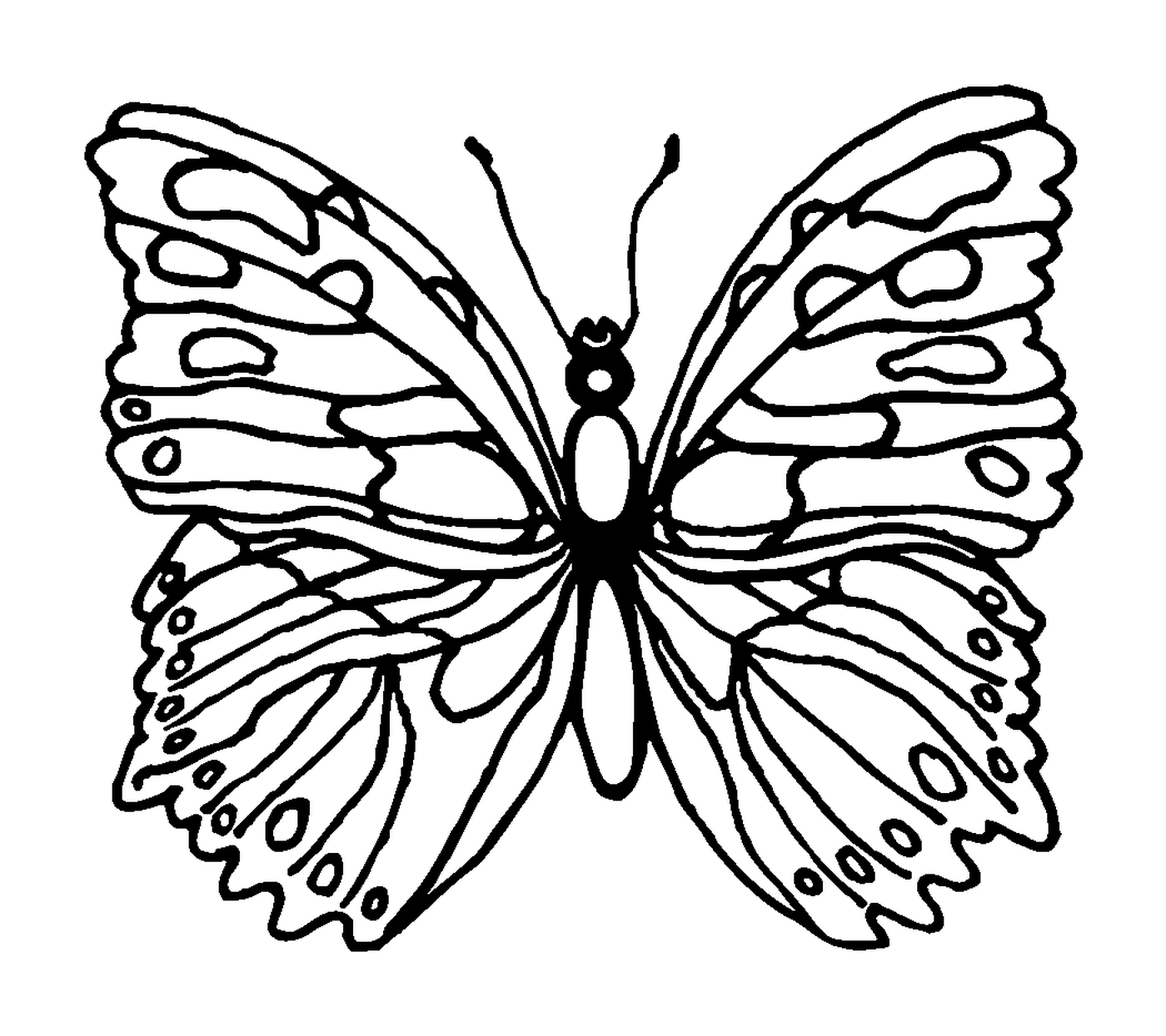 coloriage papillon 184
