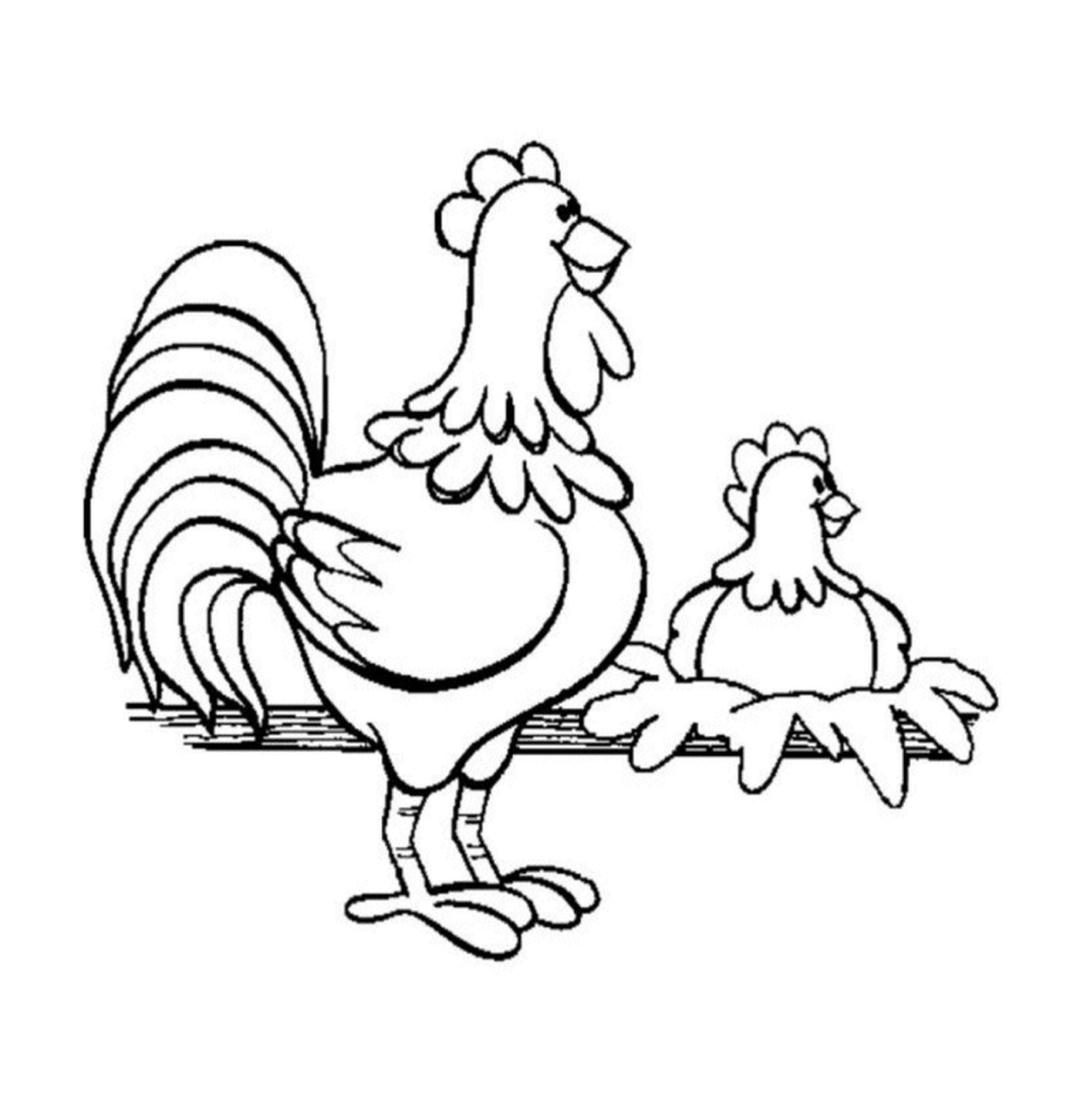 paques une poule avec un coq