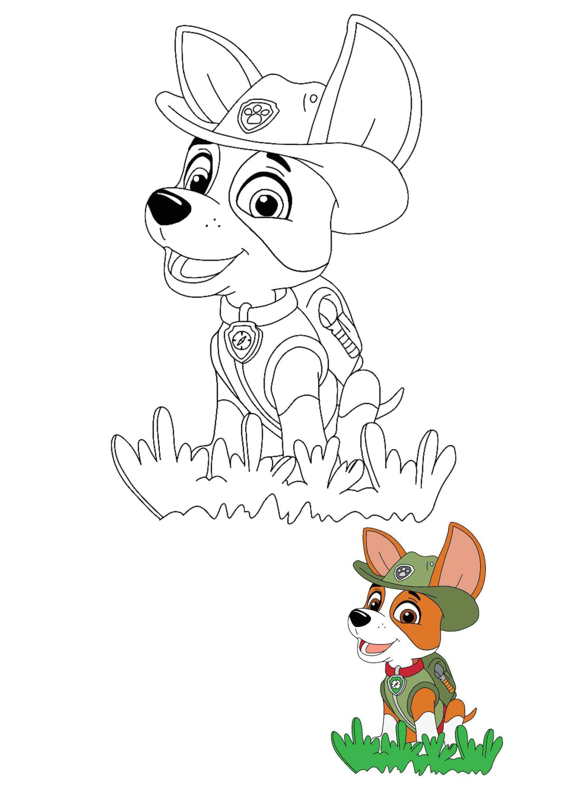 coloriage Tracker Chihuahua Explorateur Dans La Jungle Paw Patrol