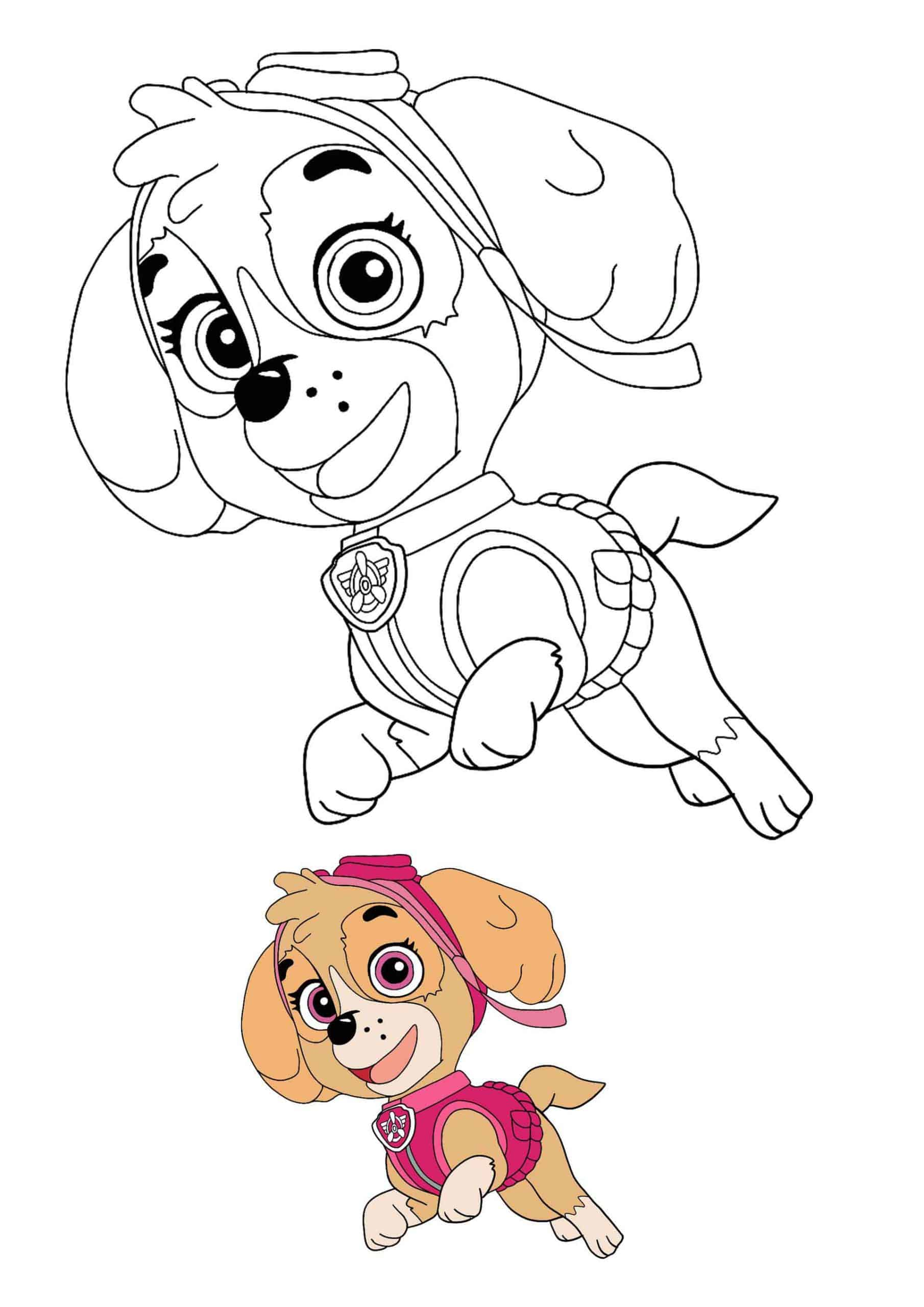 coloriage Stella Adore Les Helicopteres Et Fusees Paw Patrol