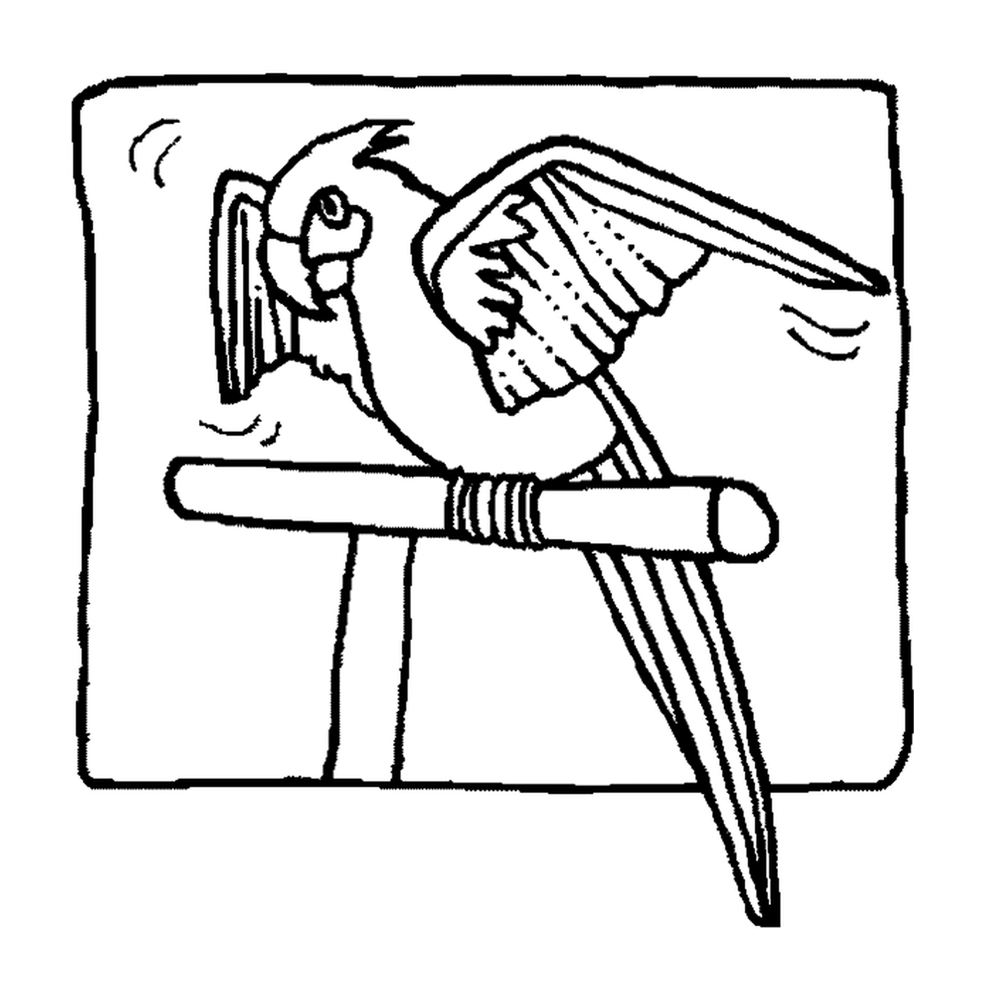 perroquet qui deploie ses ailes