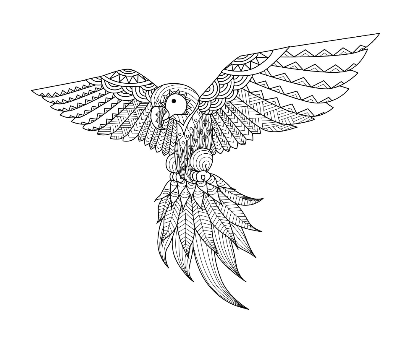 perroquet mandala par bimdeedee