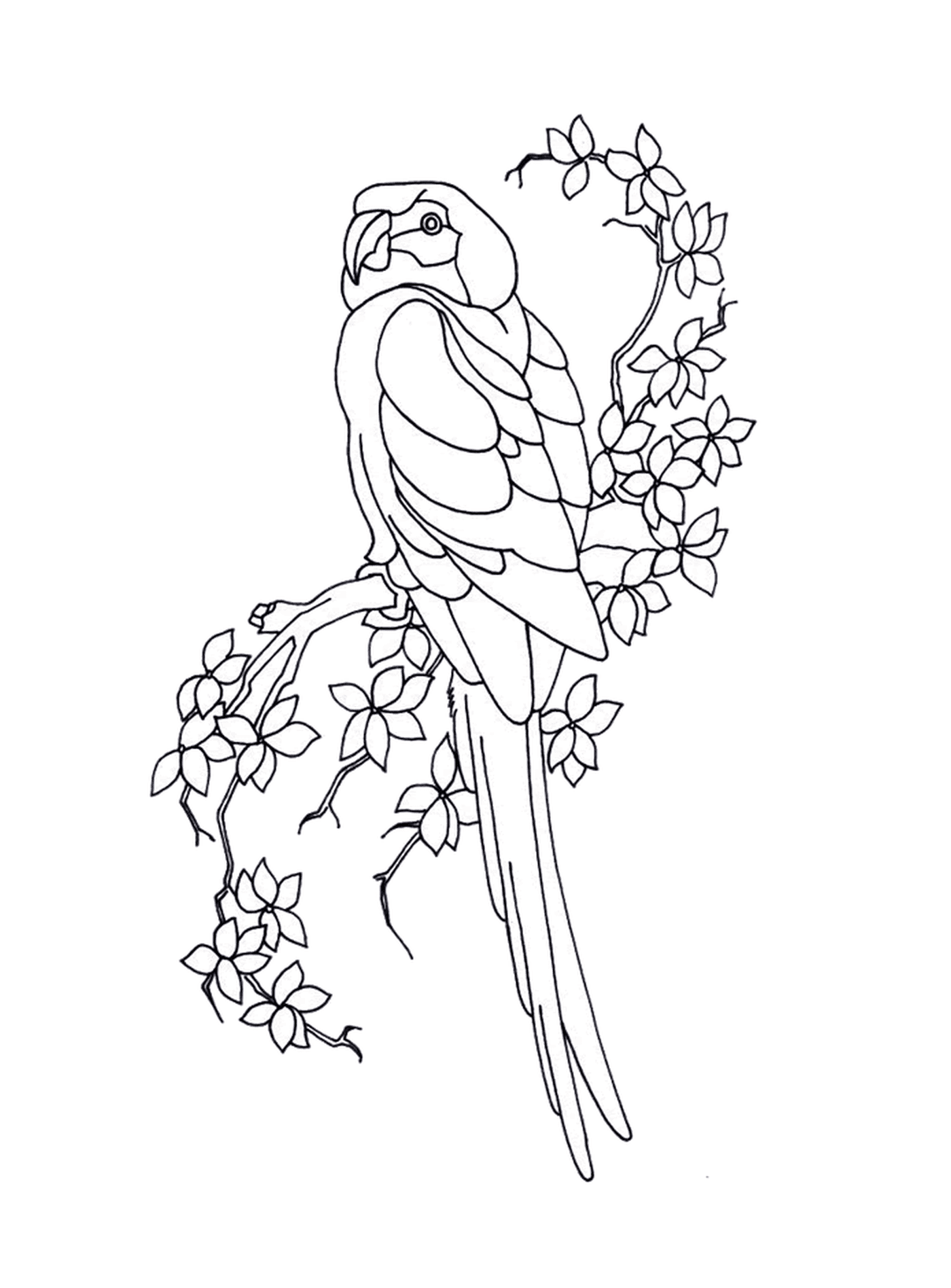 coloriage perroquet sur une branche avec des fleurs