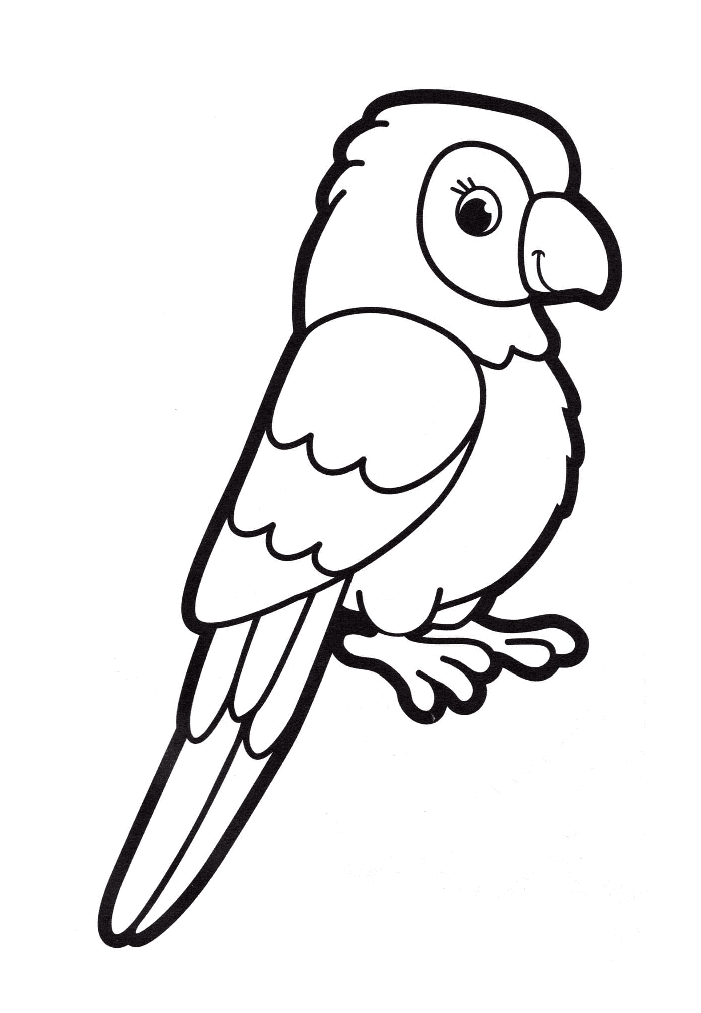 coloriage perruche perroquet maternelle