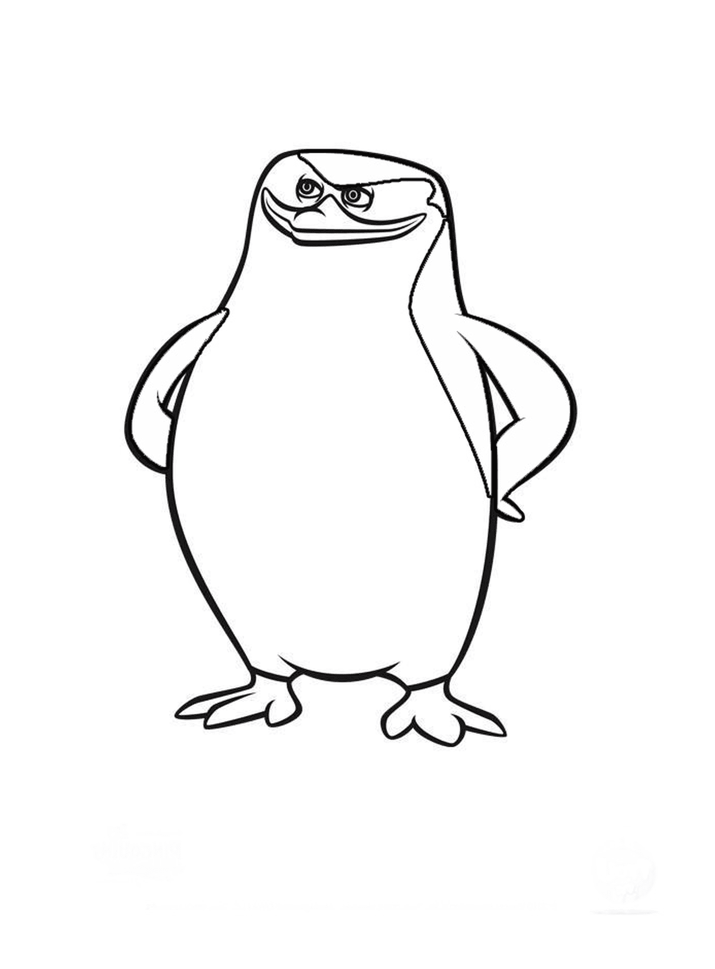 coloriage pingouins de madagascar confiant