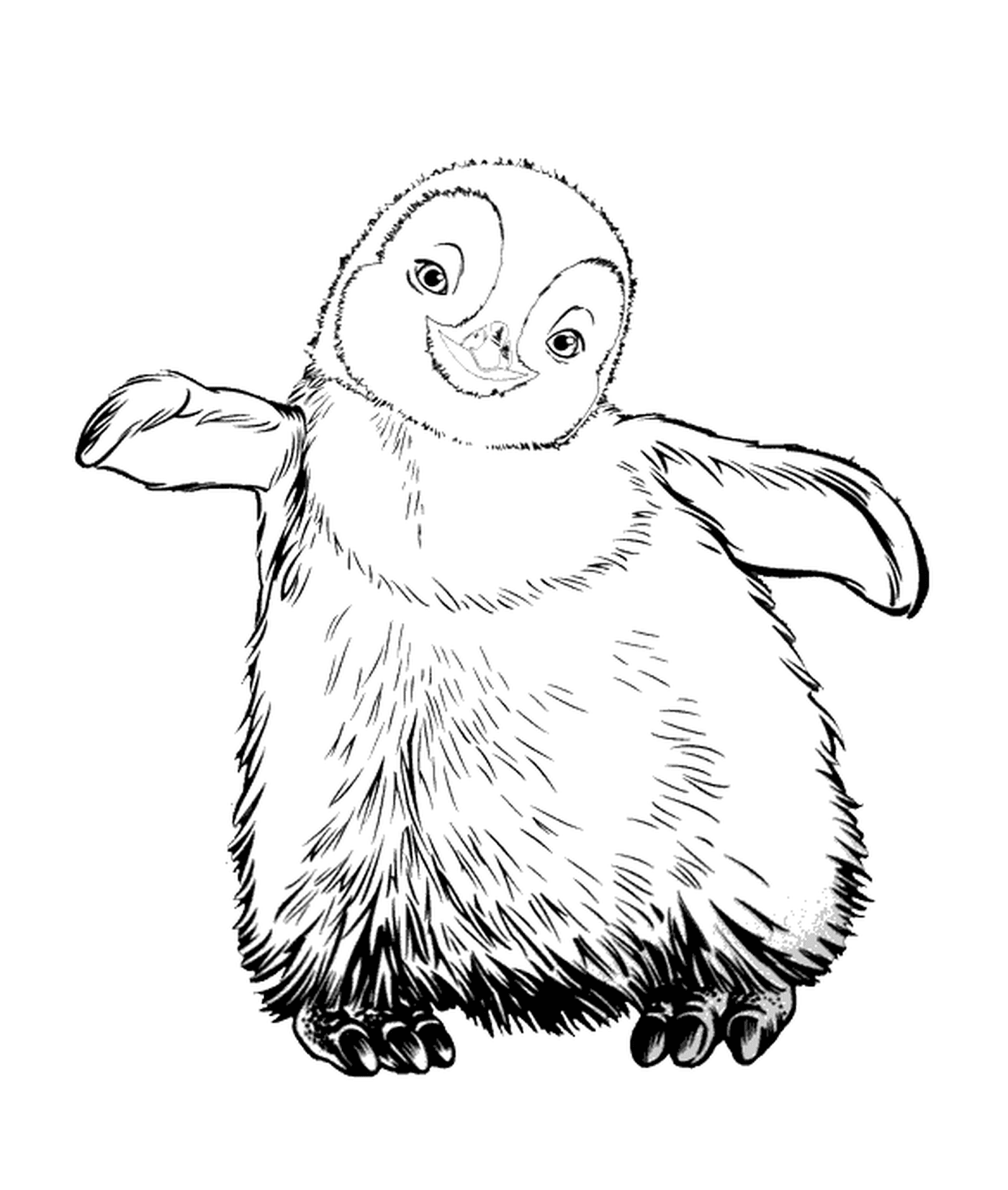 coloriage pingouin bebe