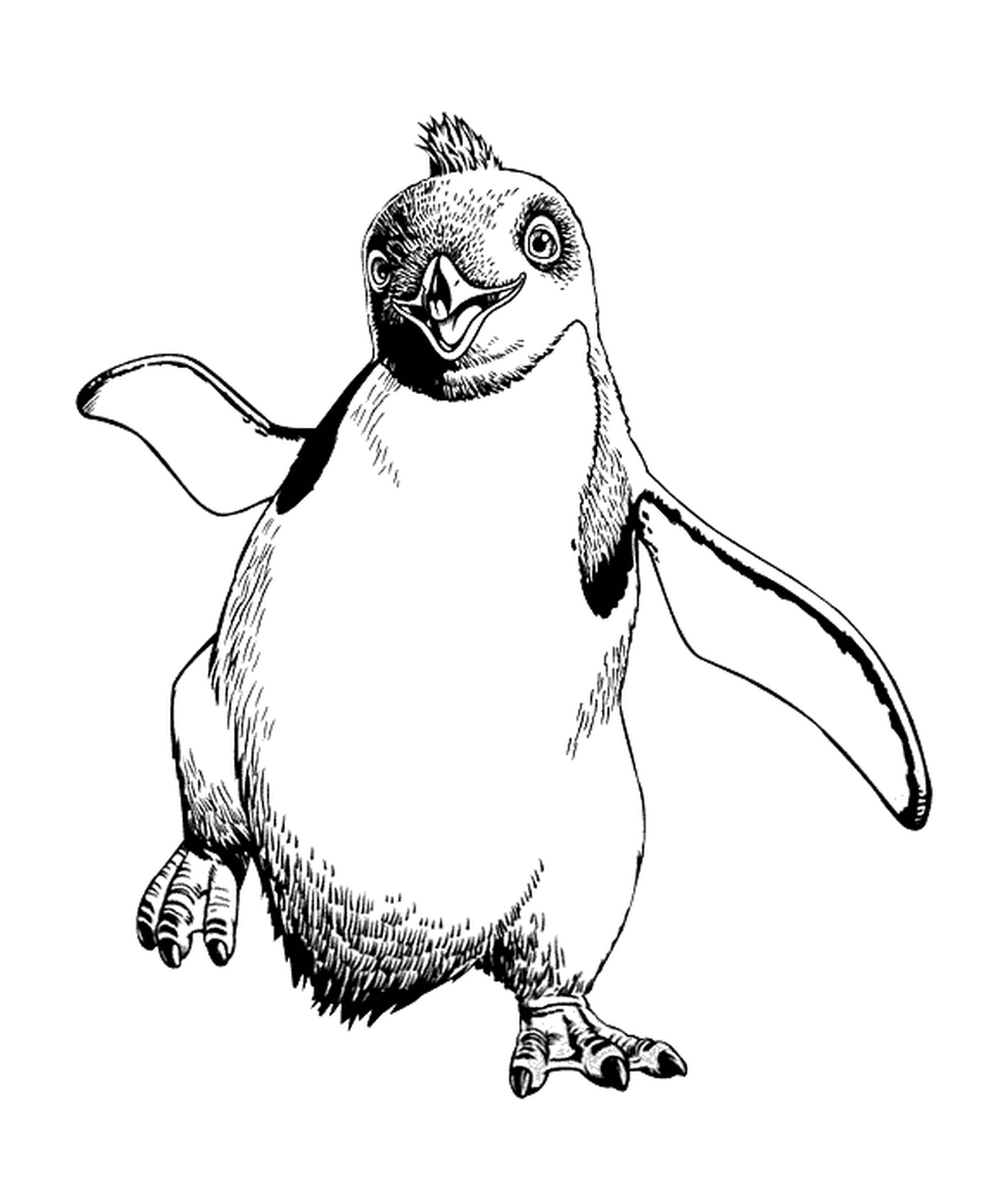 coloriage pingouin qui marche