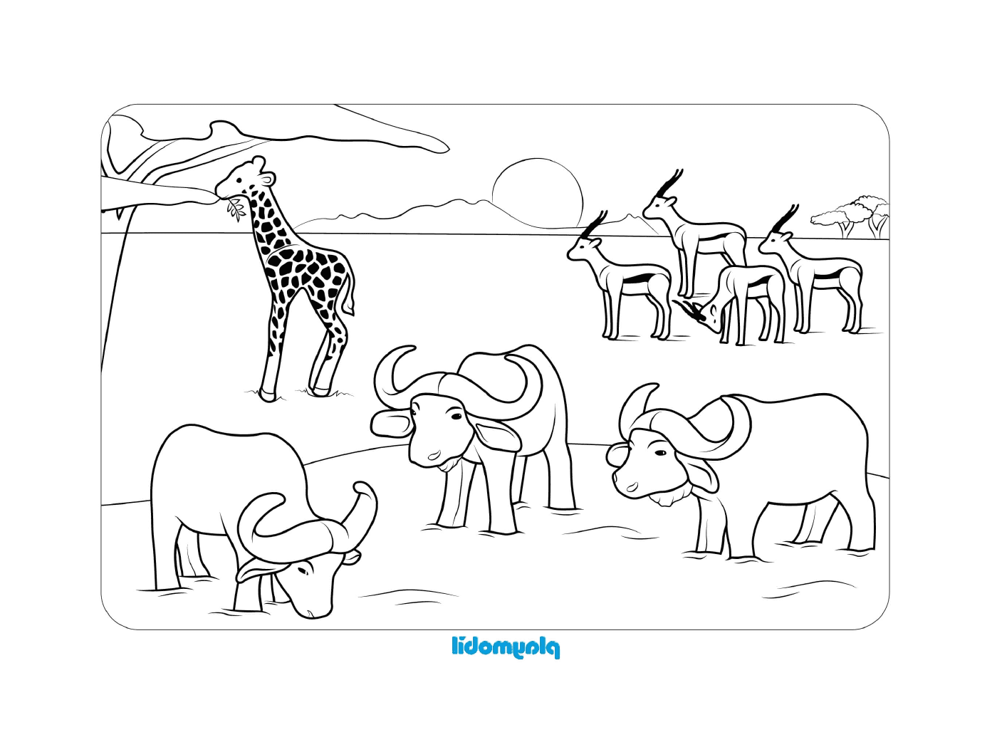 coloriage animaux 1