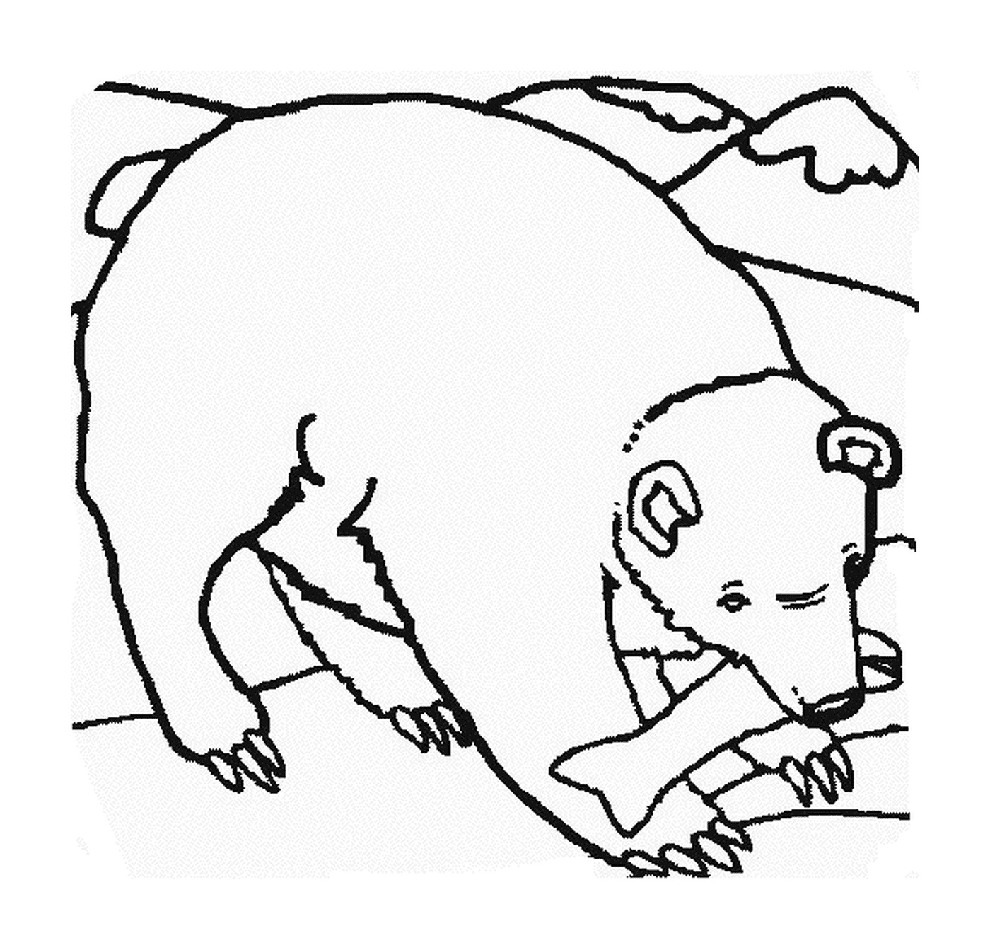 coloriage un ours avec un poisson dans sa gueule