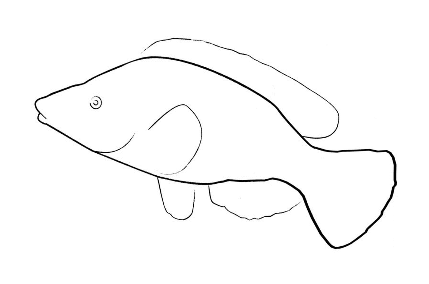 coloriage dessin poisson d avril