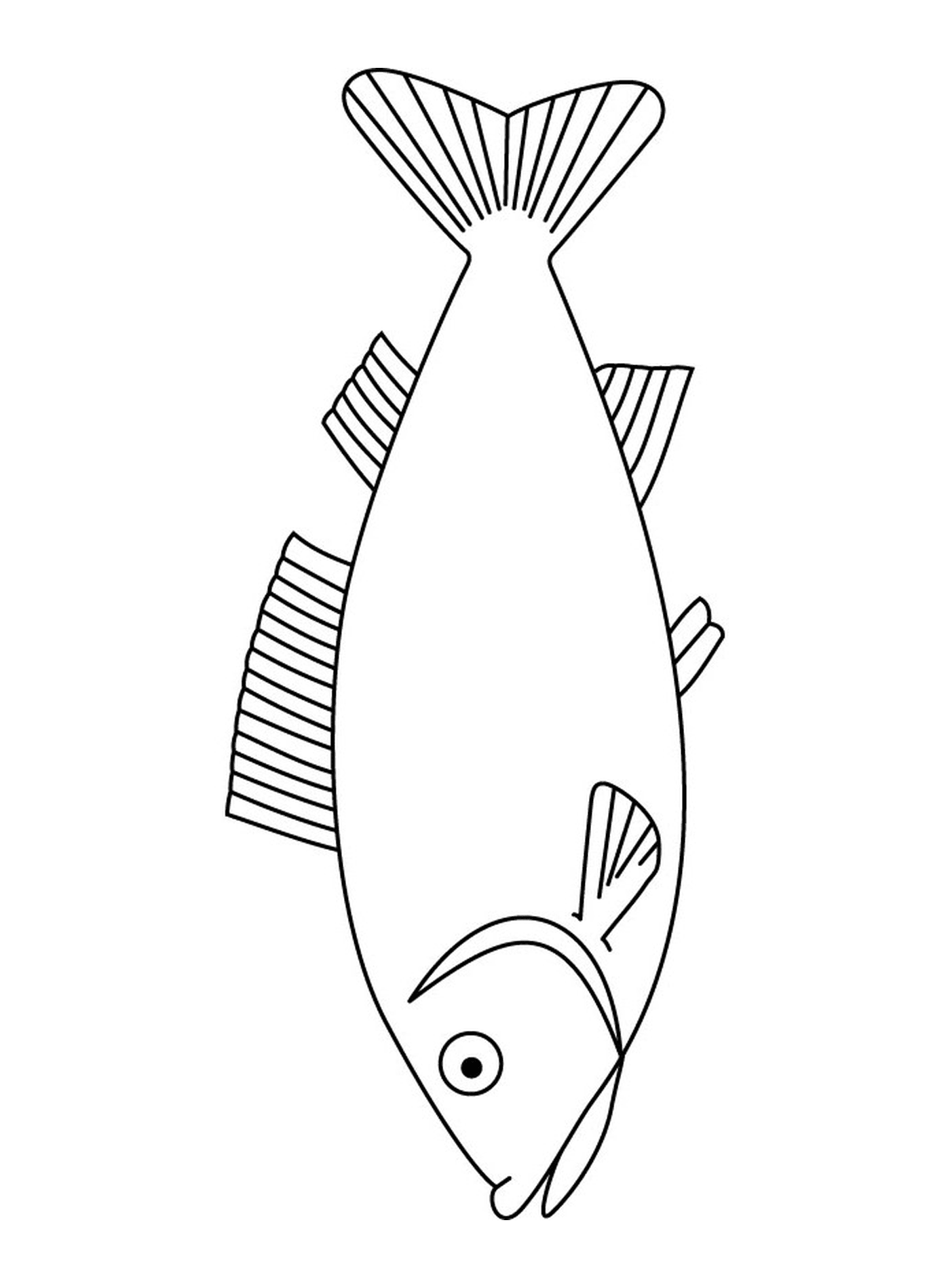 coloriage poisson 127