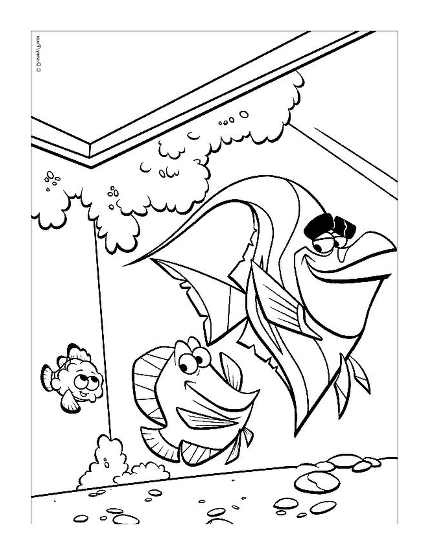 coloriage Gill Nemo et un poisson dans l aquarium