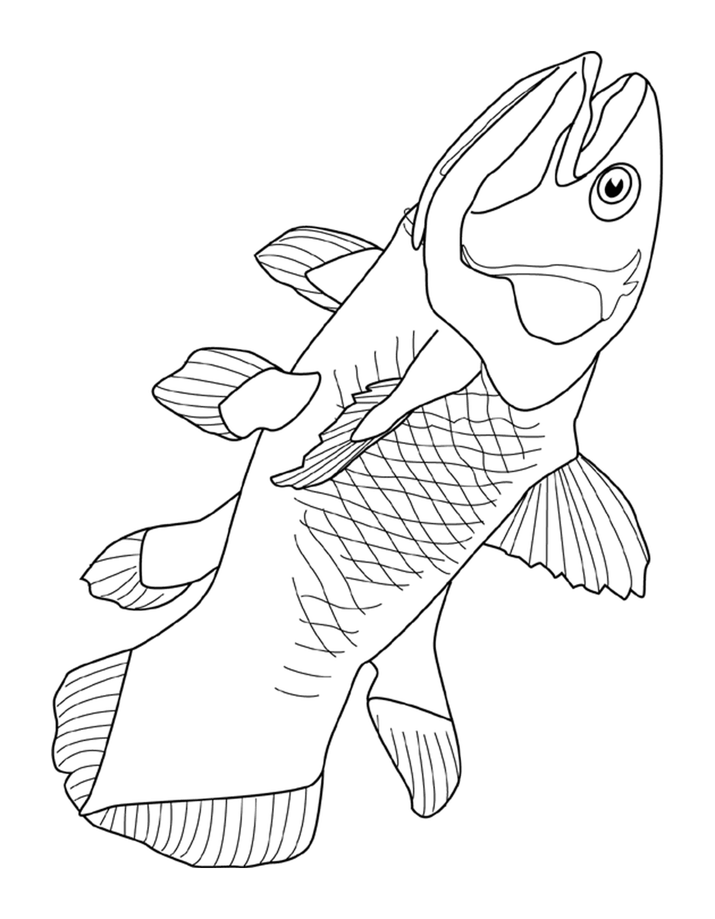 coloriage coelacanth