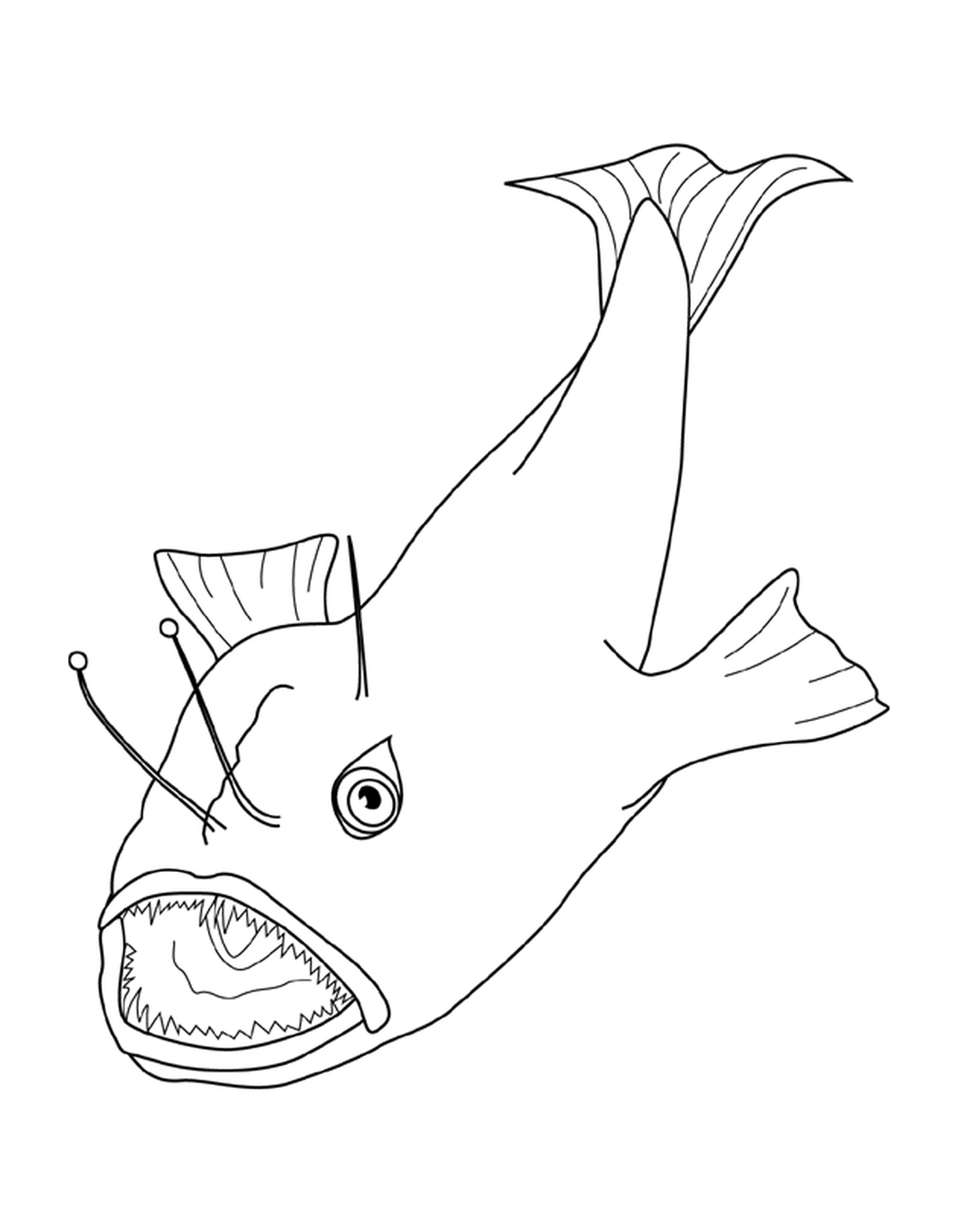 coloriage anglerfish