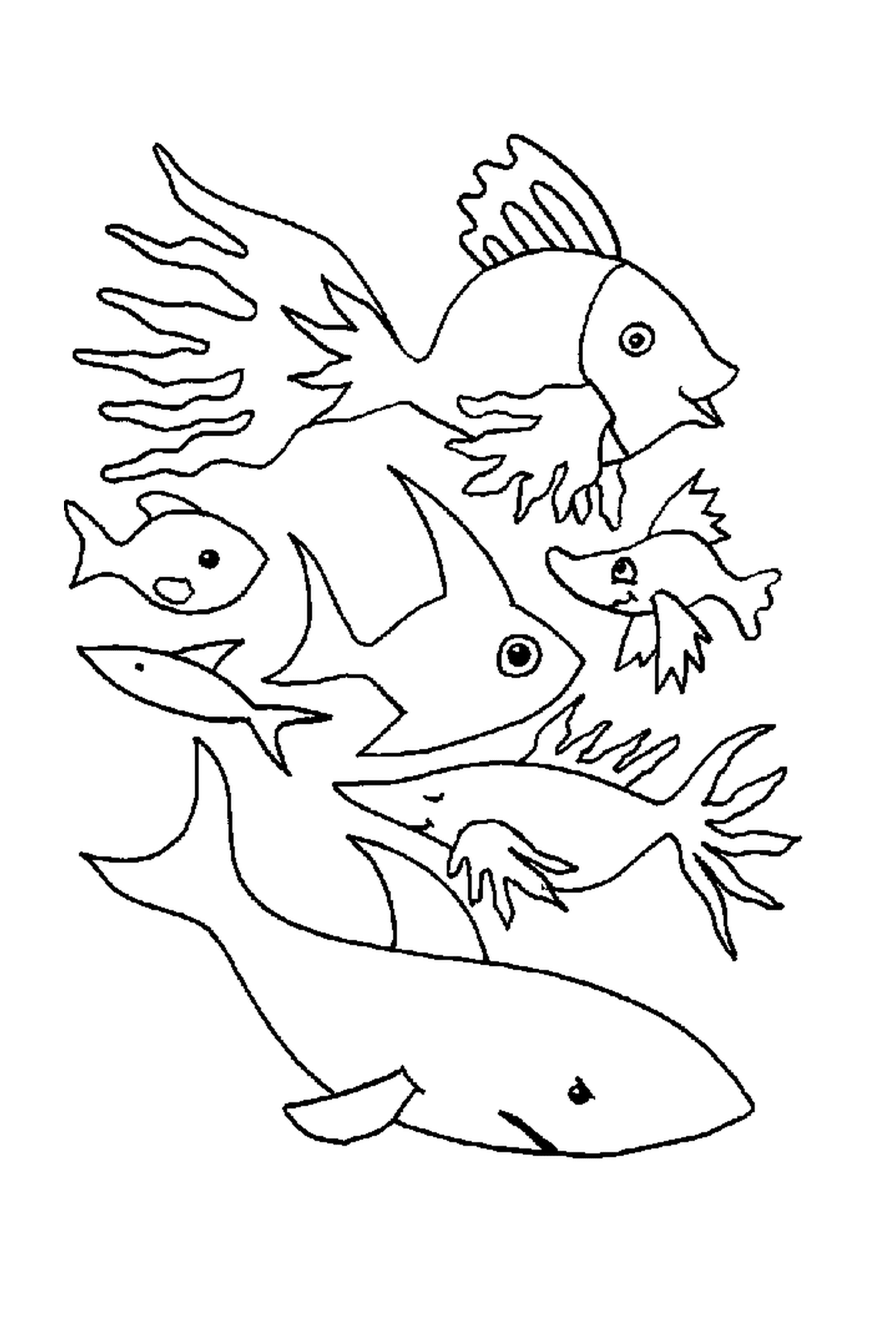 coloriage poisson 66