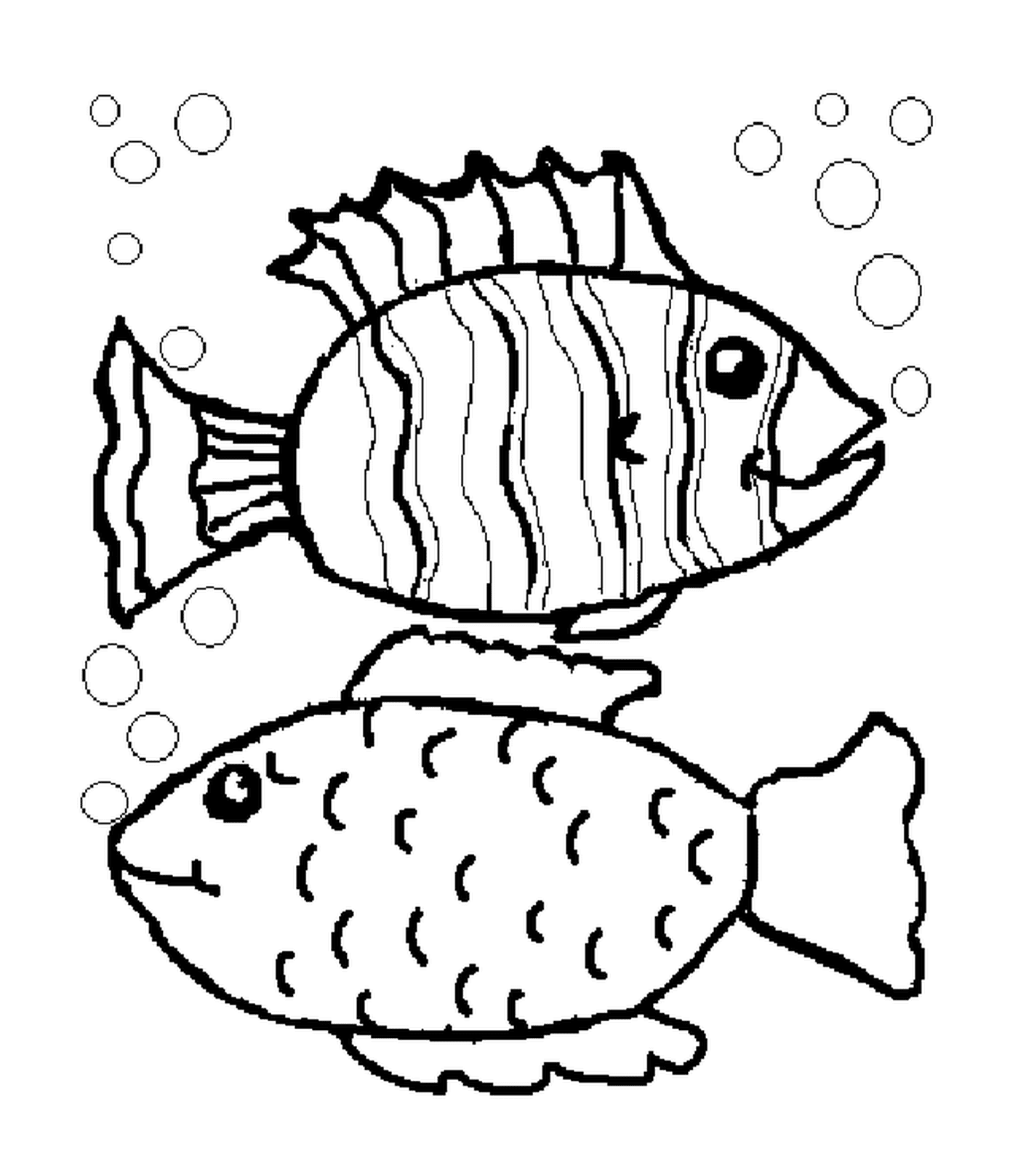 coloriage deux poissons et des bulles