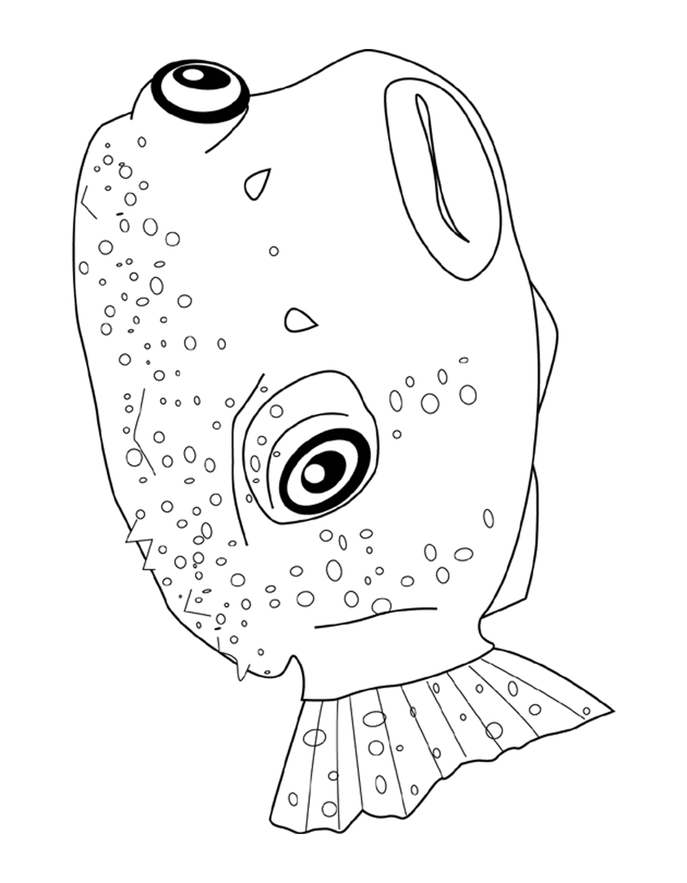 coloriage pufferfish