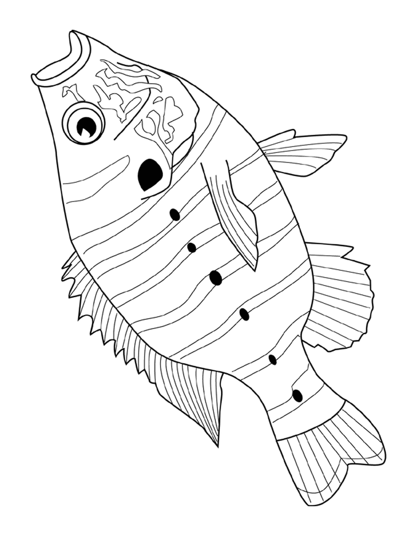 coloriage sunfish