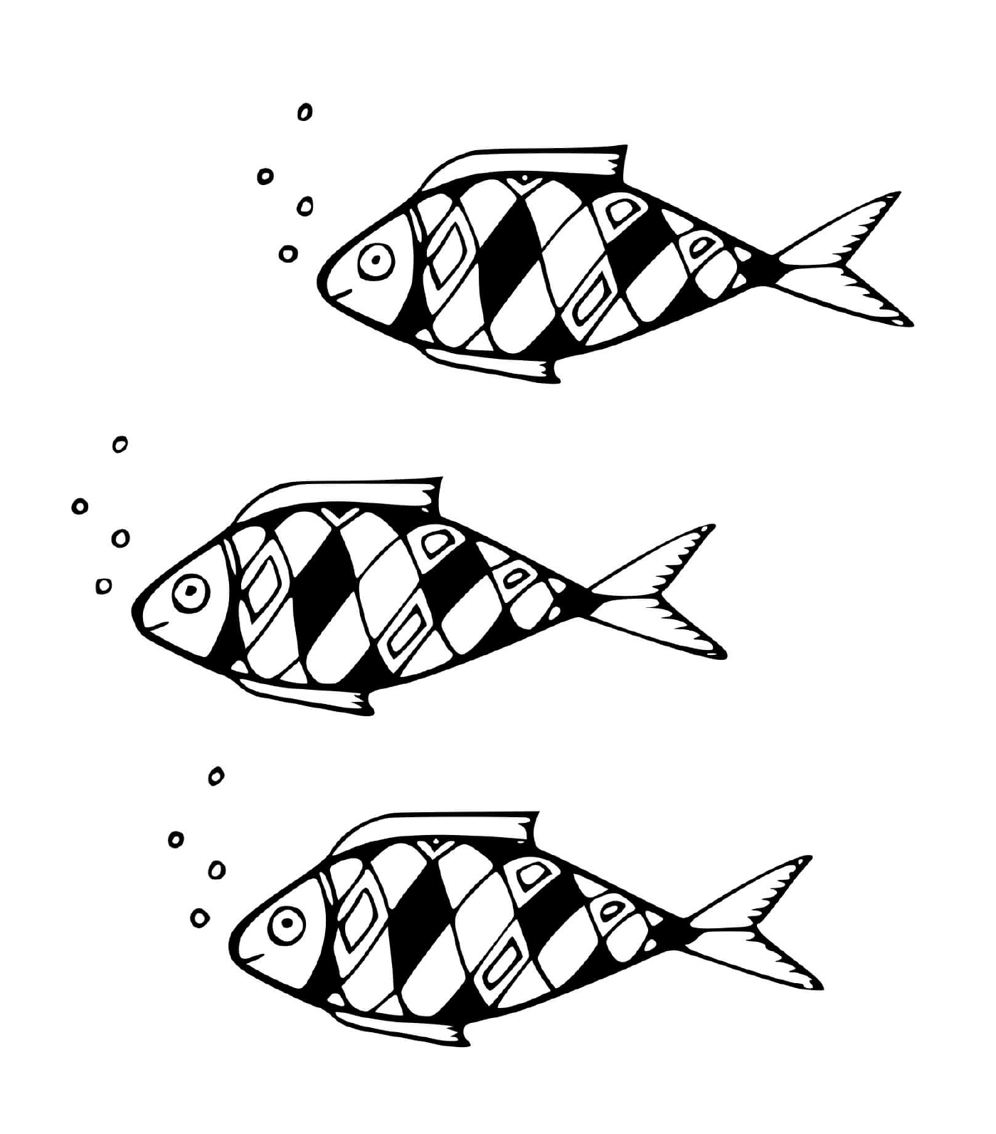 coloriage poisson Acanthomorphes a rayons epineux