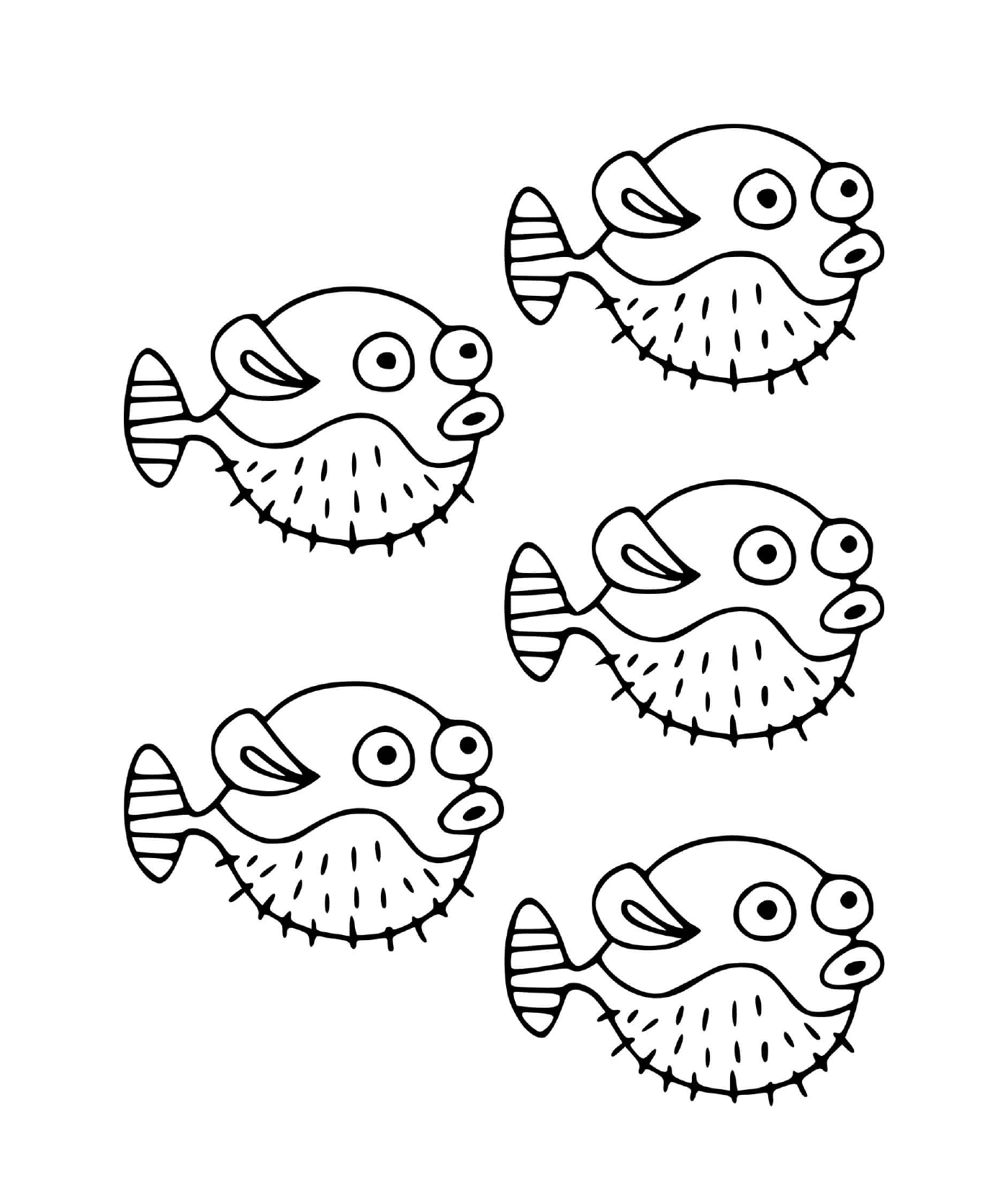 coloriage poisson Tetraodontides poissons globes peuvent gonfler