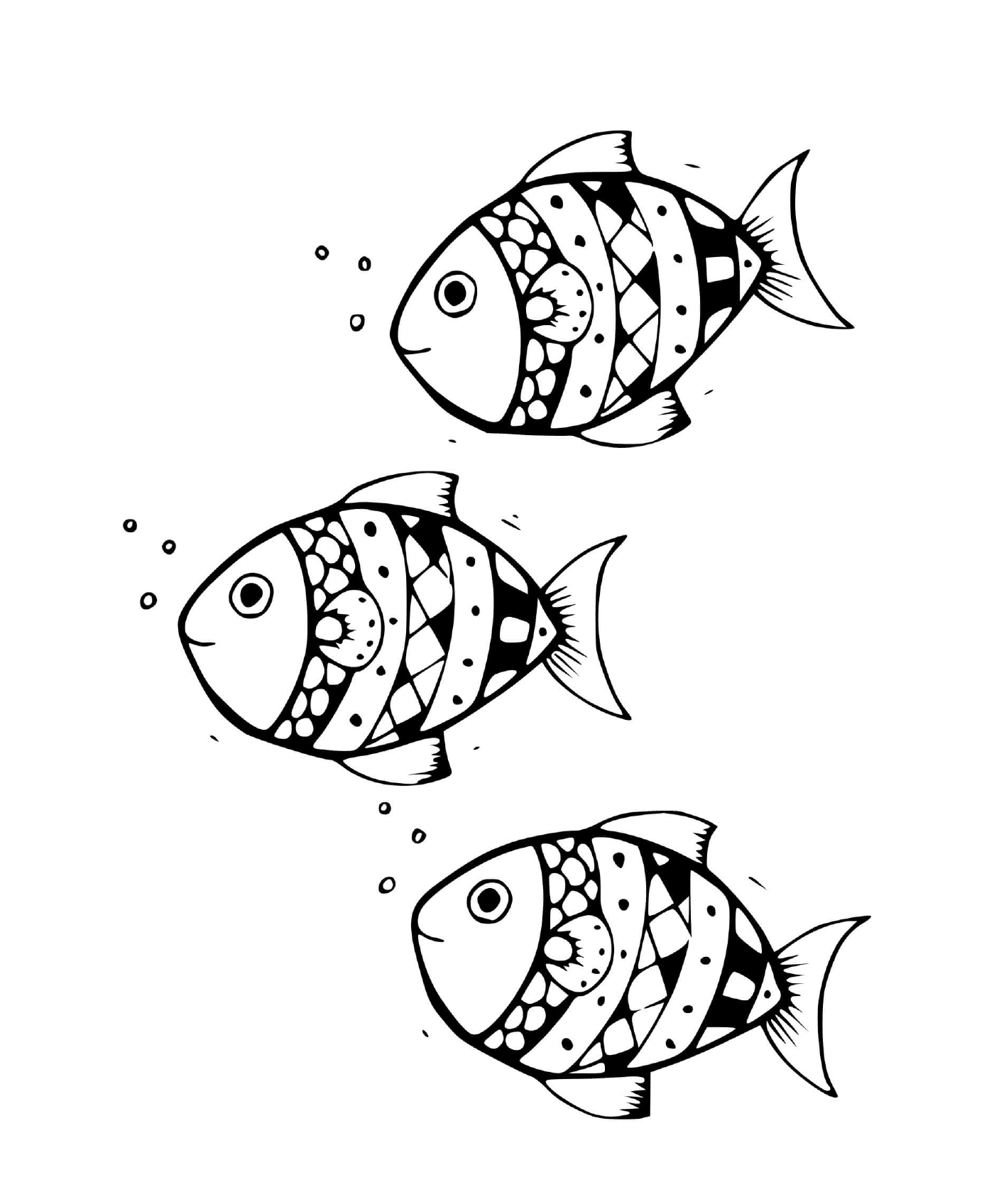 coloriage poissons a nageoires rayonnees Actinopterygiens