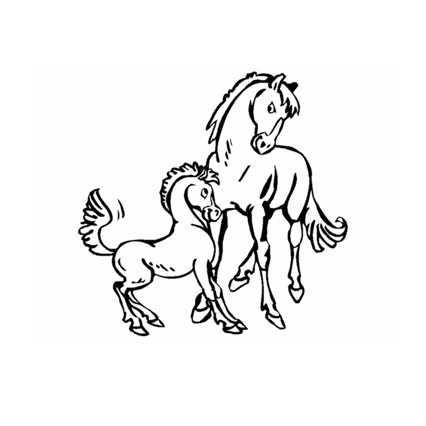 coloriage poney et chevaux