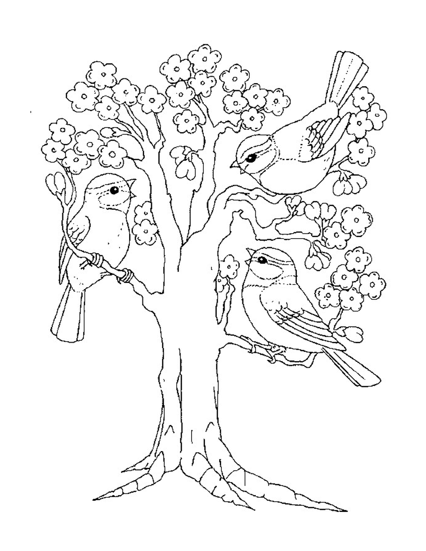coloriage arbre printemps maternelle