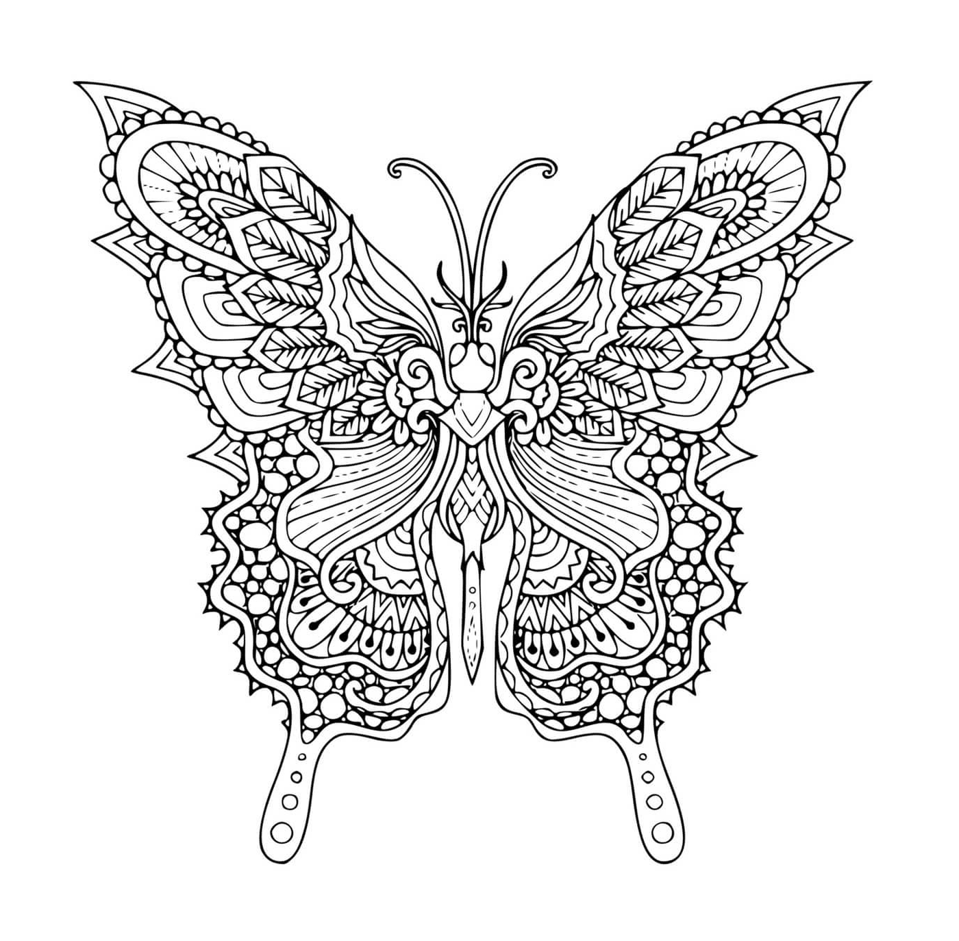 papillon printemps mandala