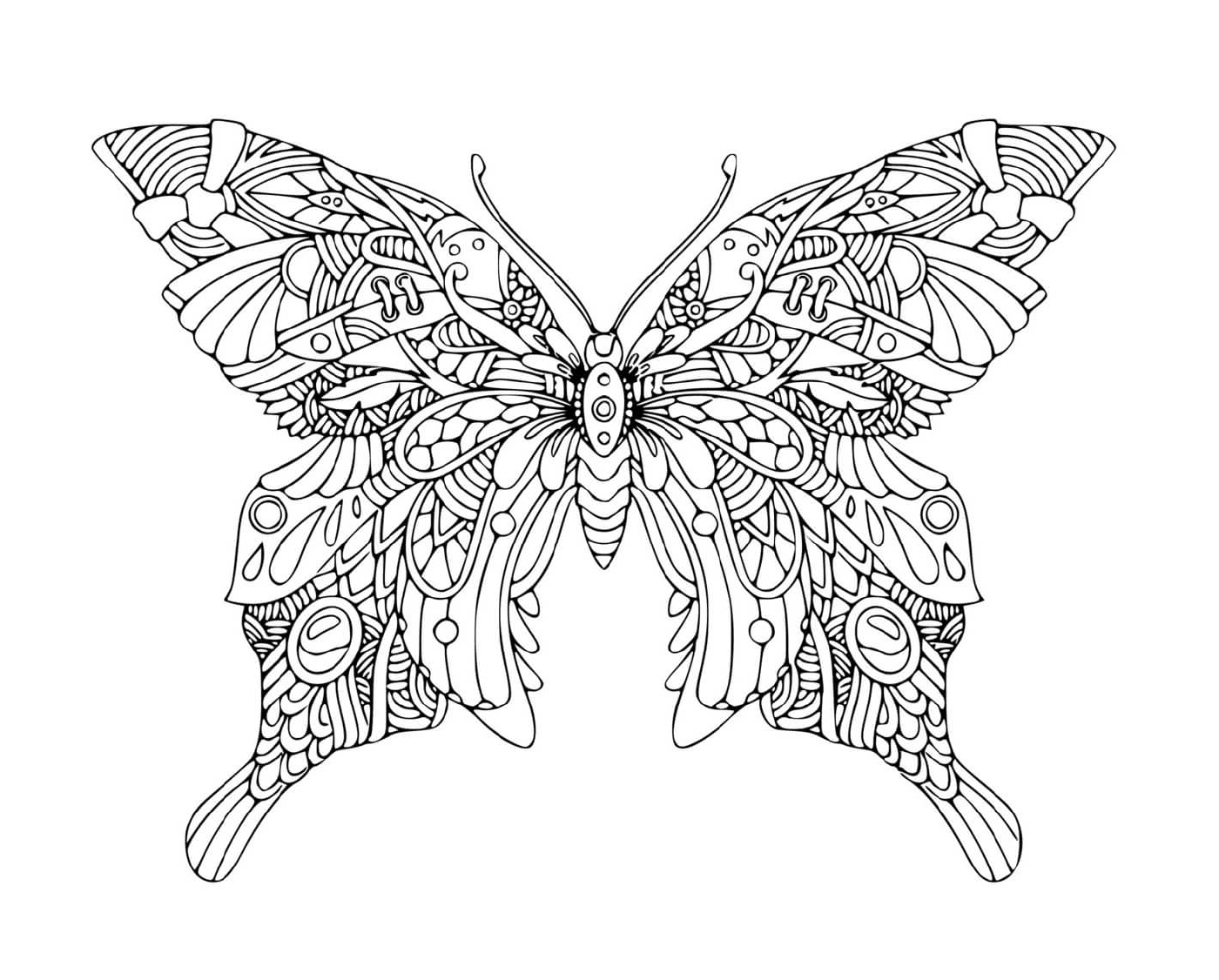 coloriage mandala papillon