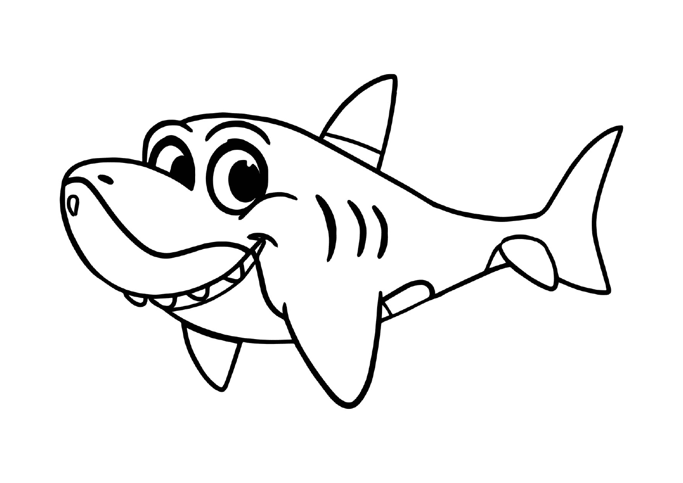 requin facile simple animal marin