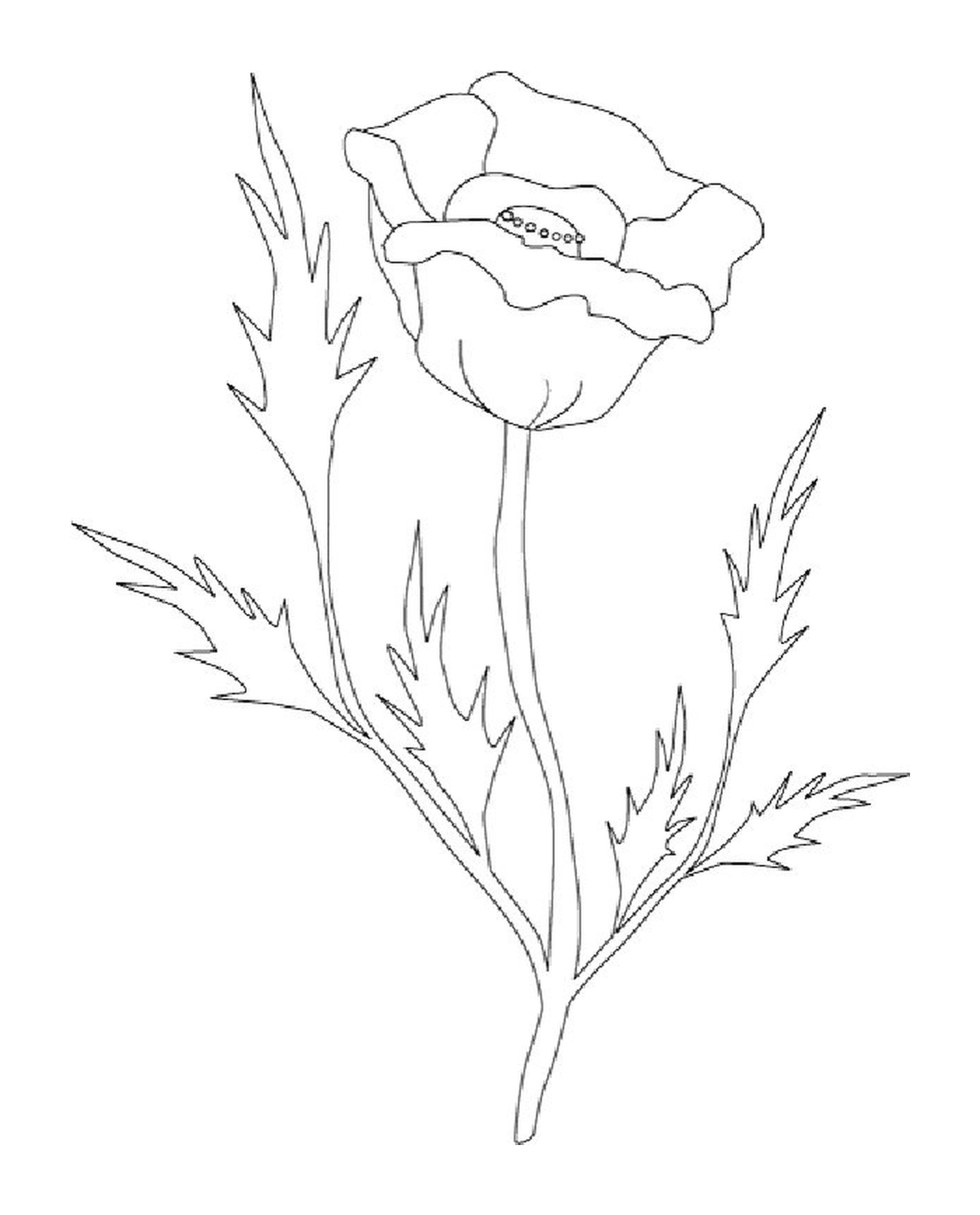 coloriage roses 149