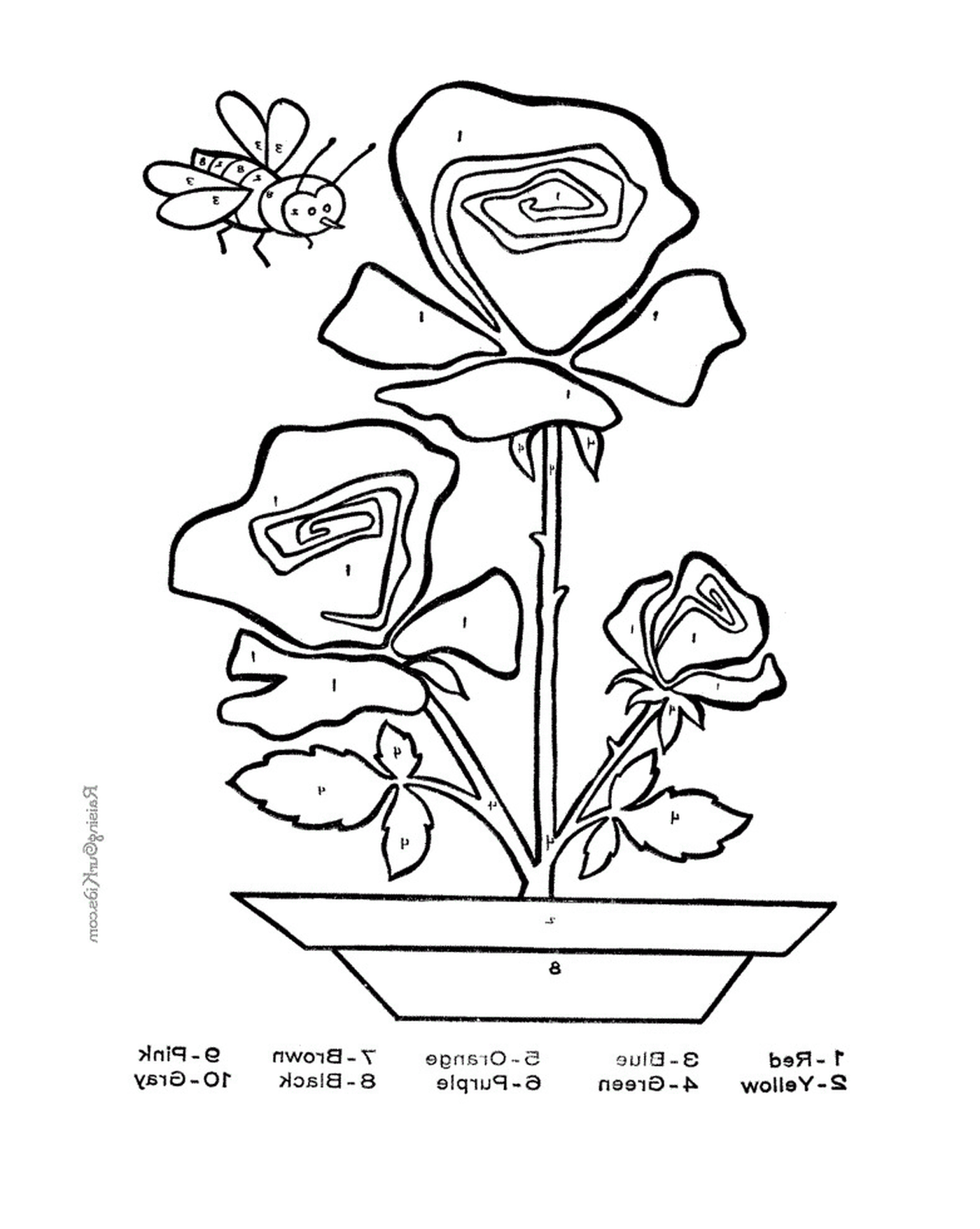 coloriage roses 79