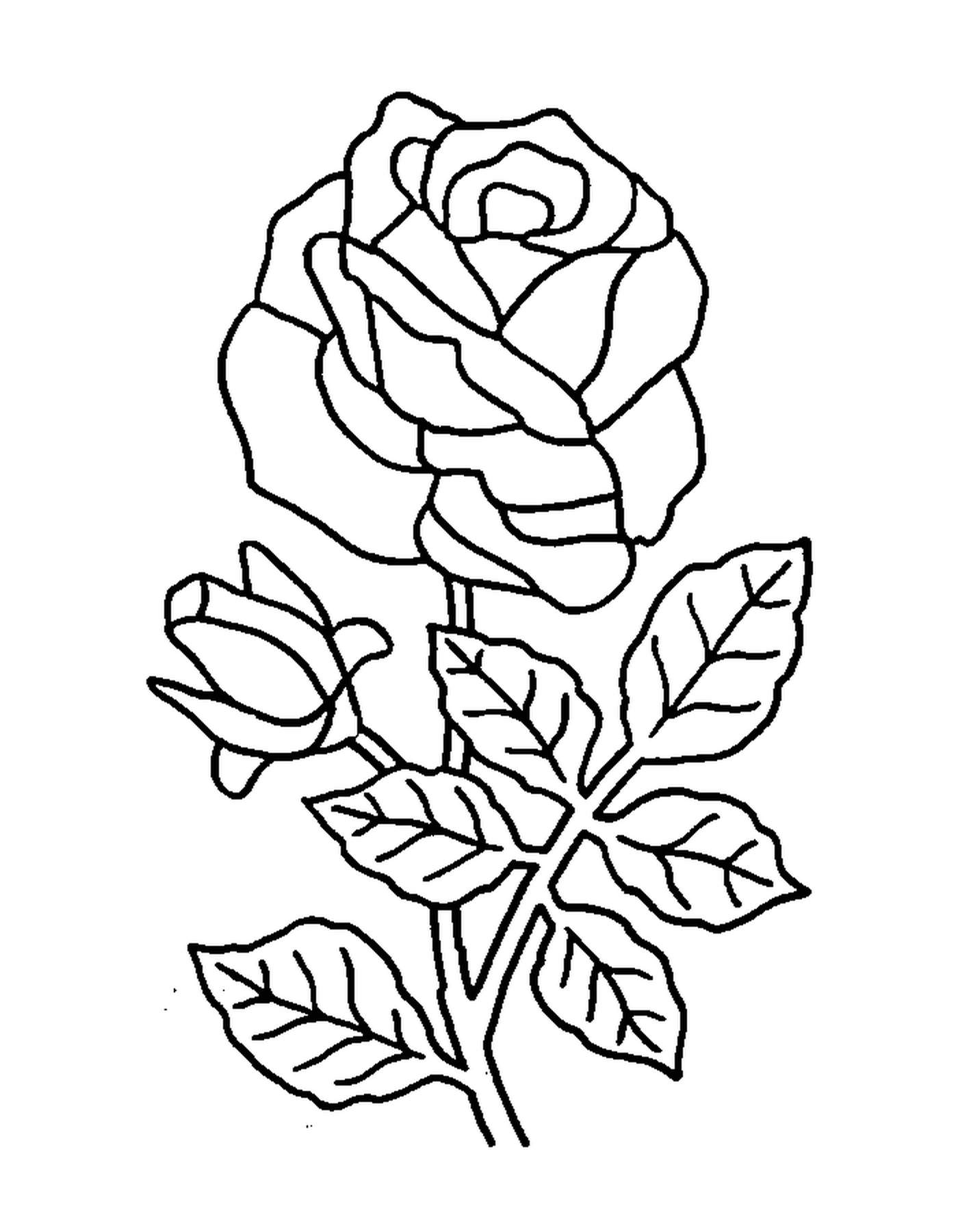 coloriage roses 90