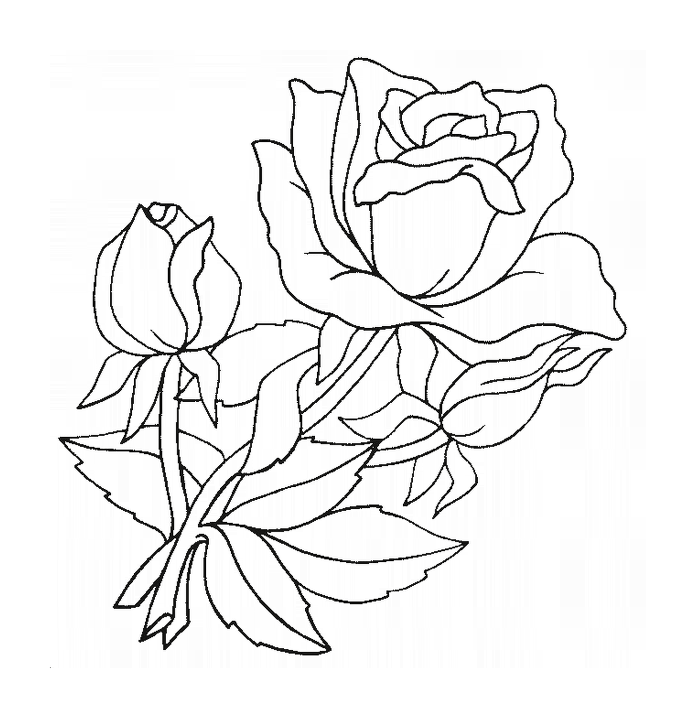 coloriage roses 18