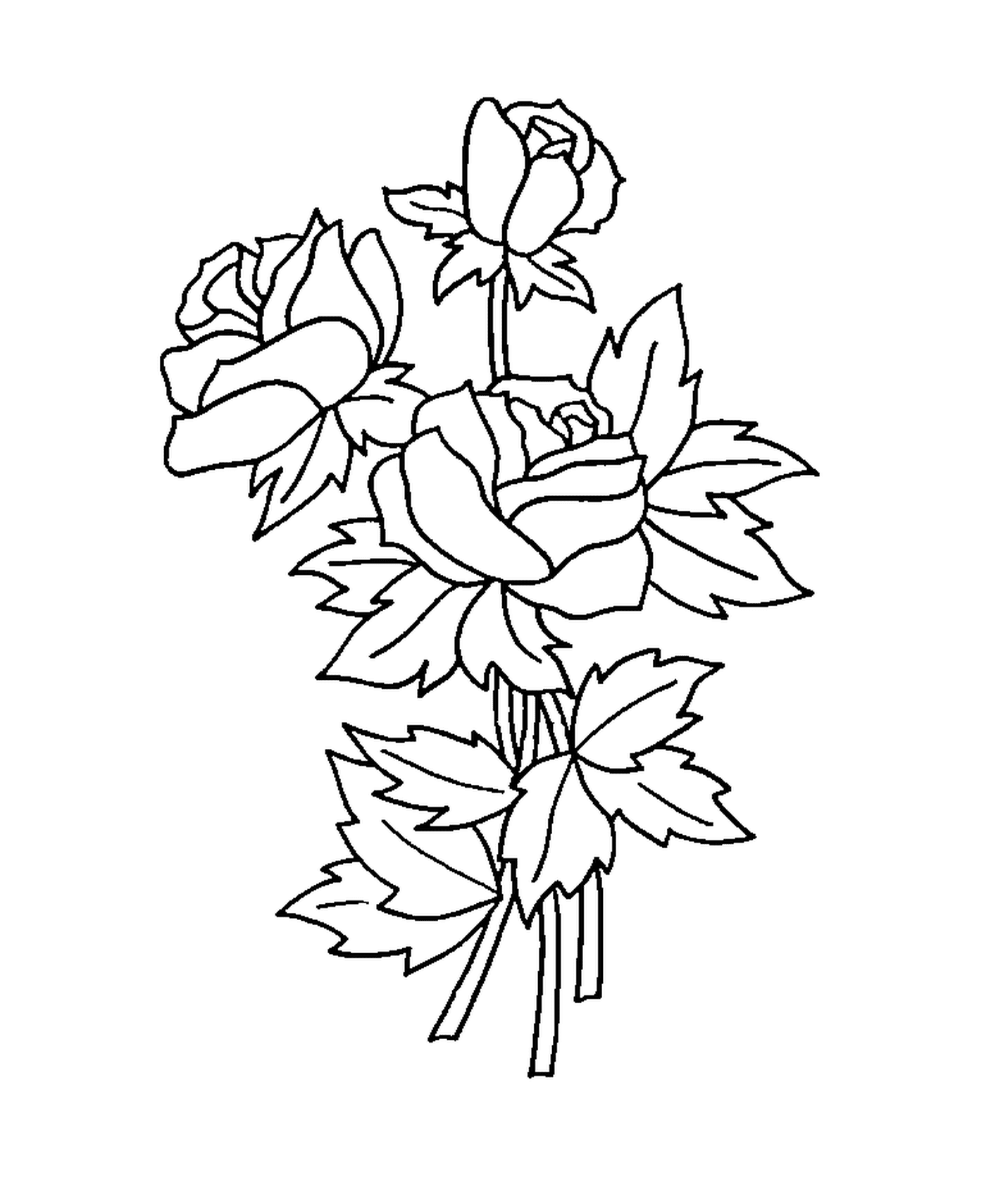 coloriage roses 73