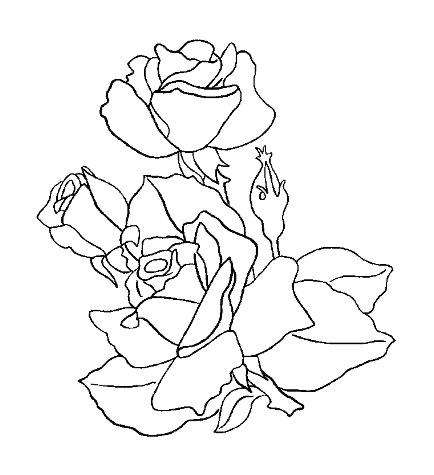 coloriage roses 121
