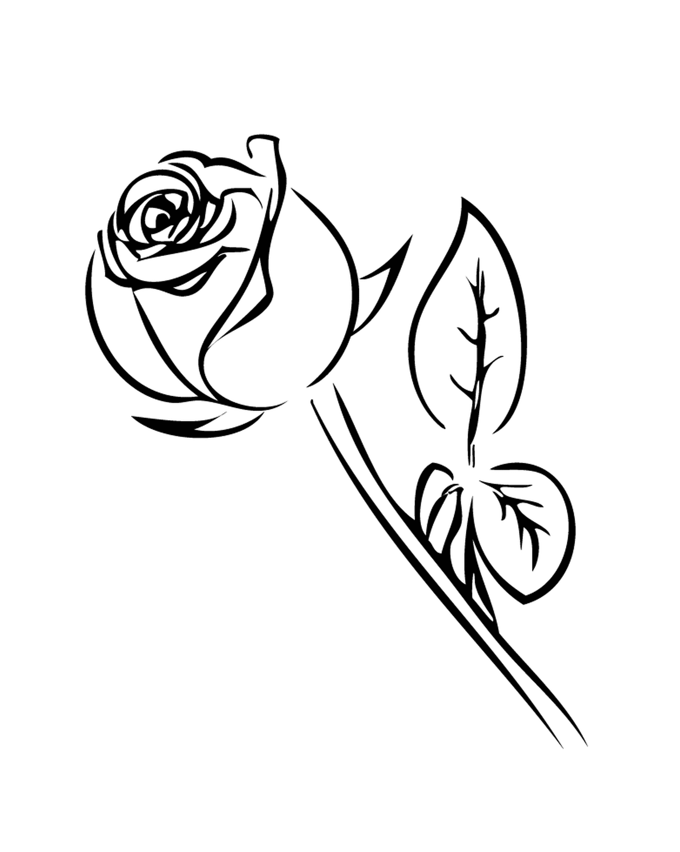 coloriage rose simple noir et blanc