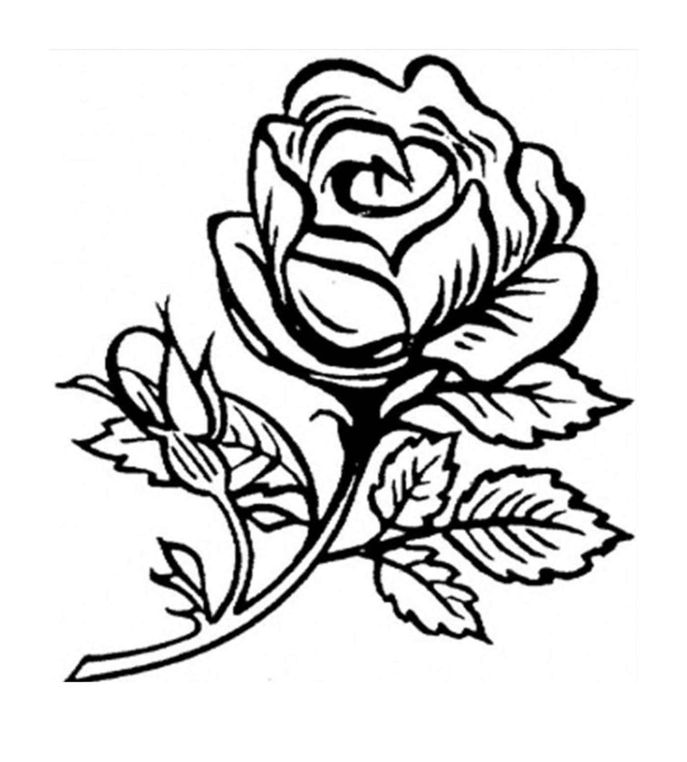 coloriage roses 34