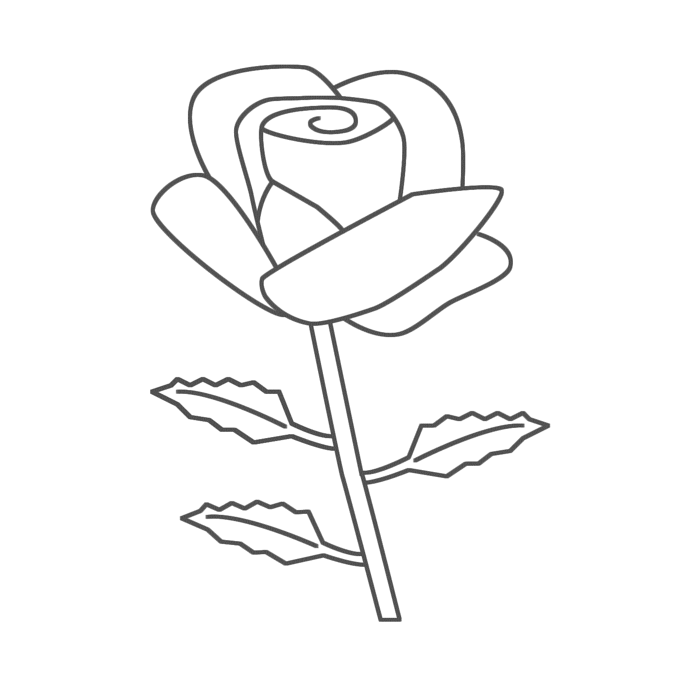 coloriage roses 19