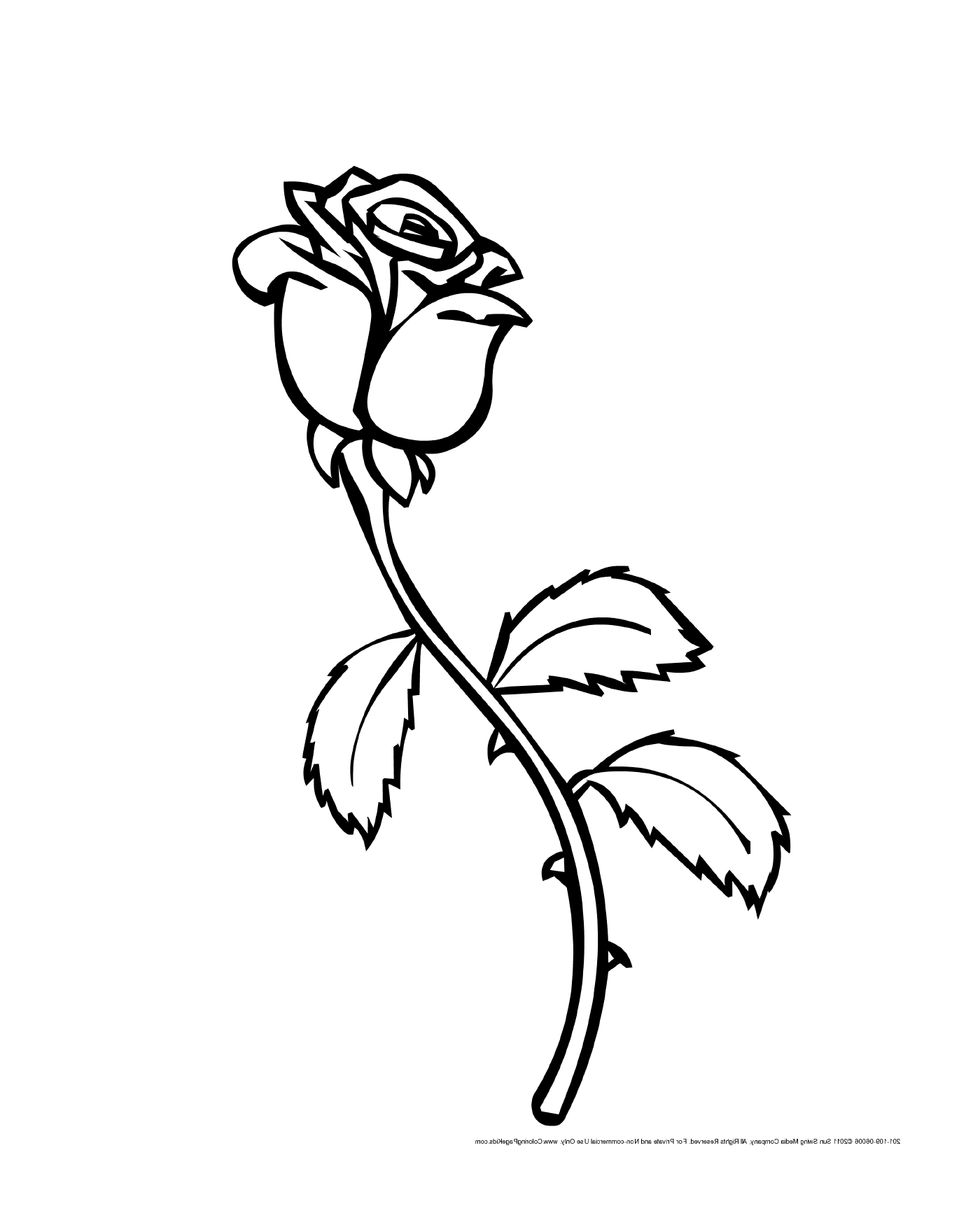 coloriage roses 37