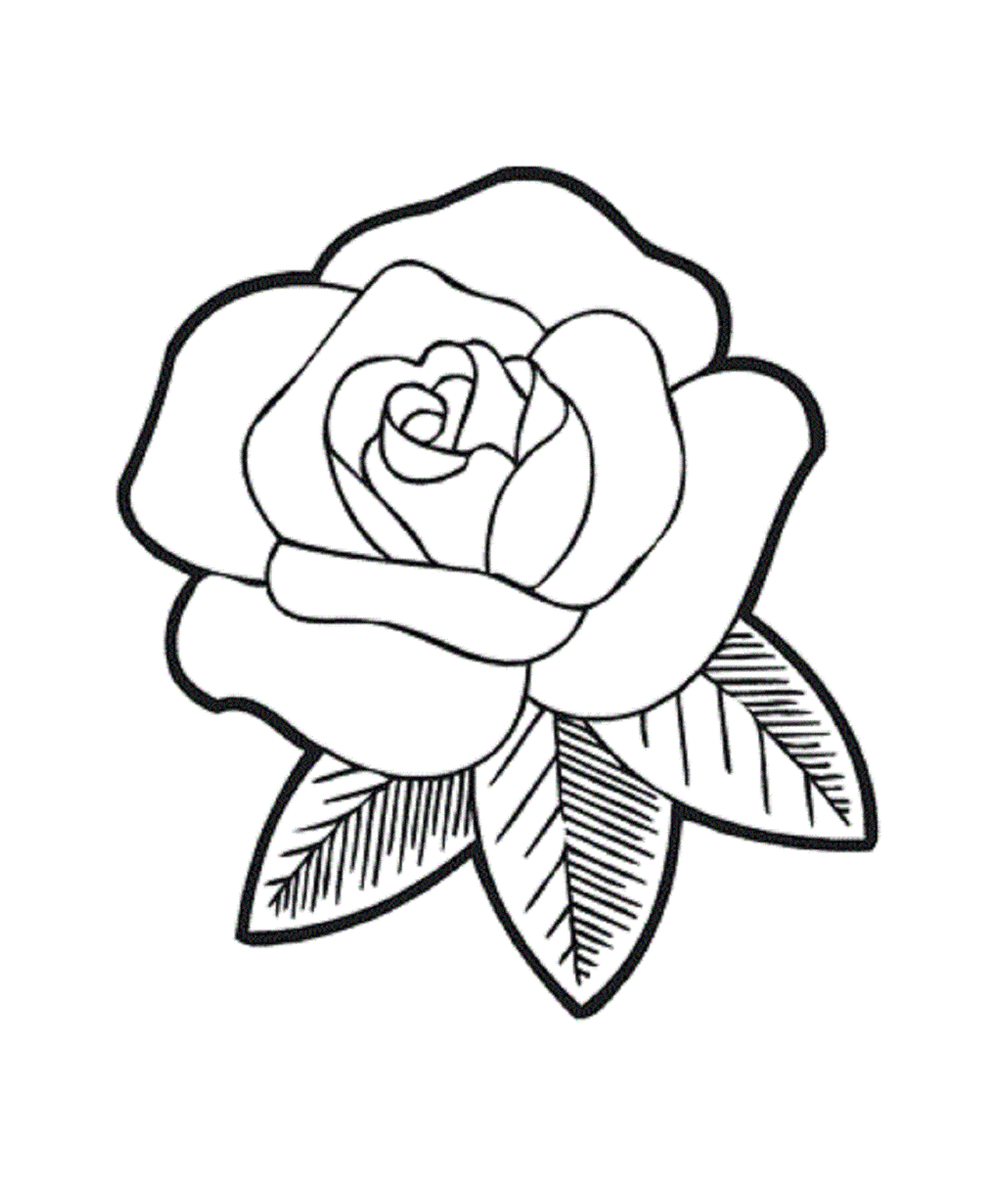 coloriage roses 43