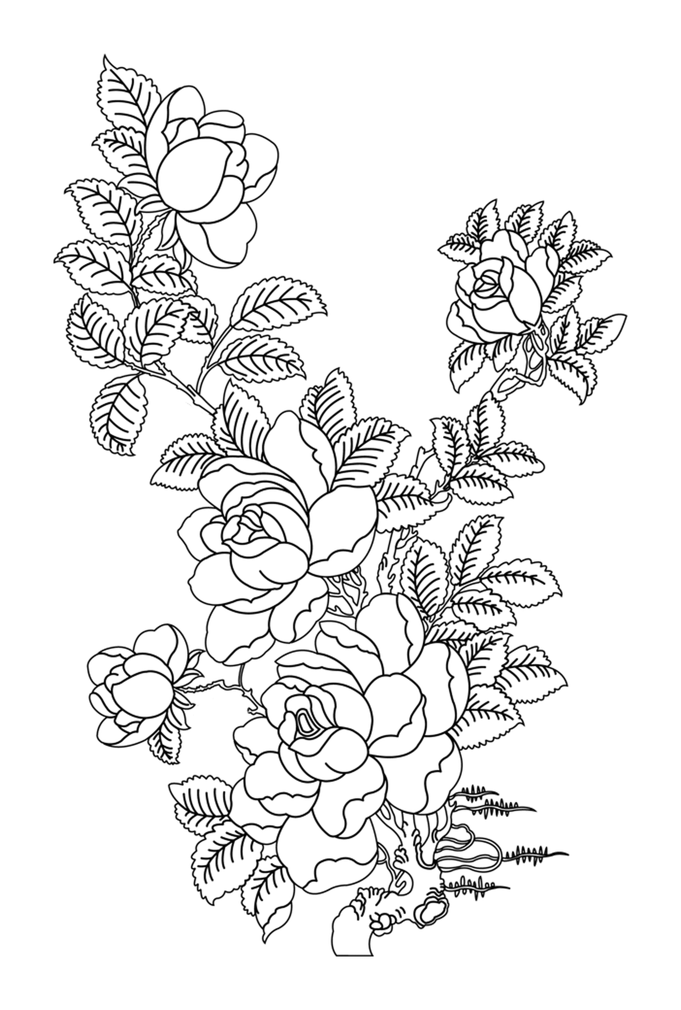 coloriage roses 60