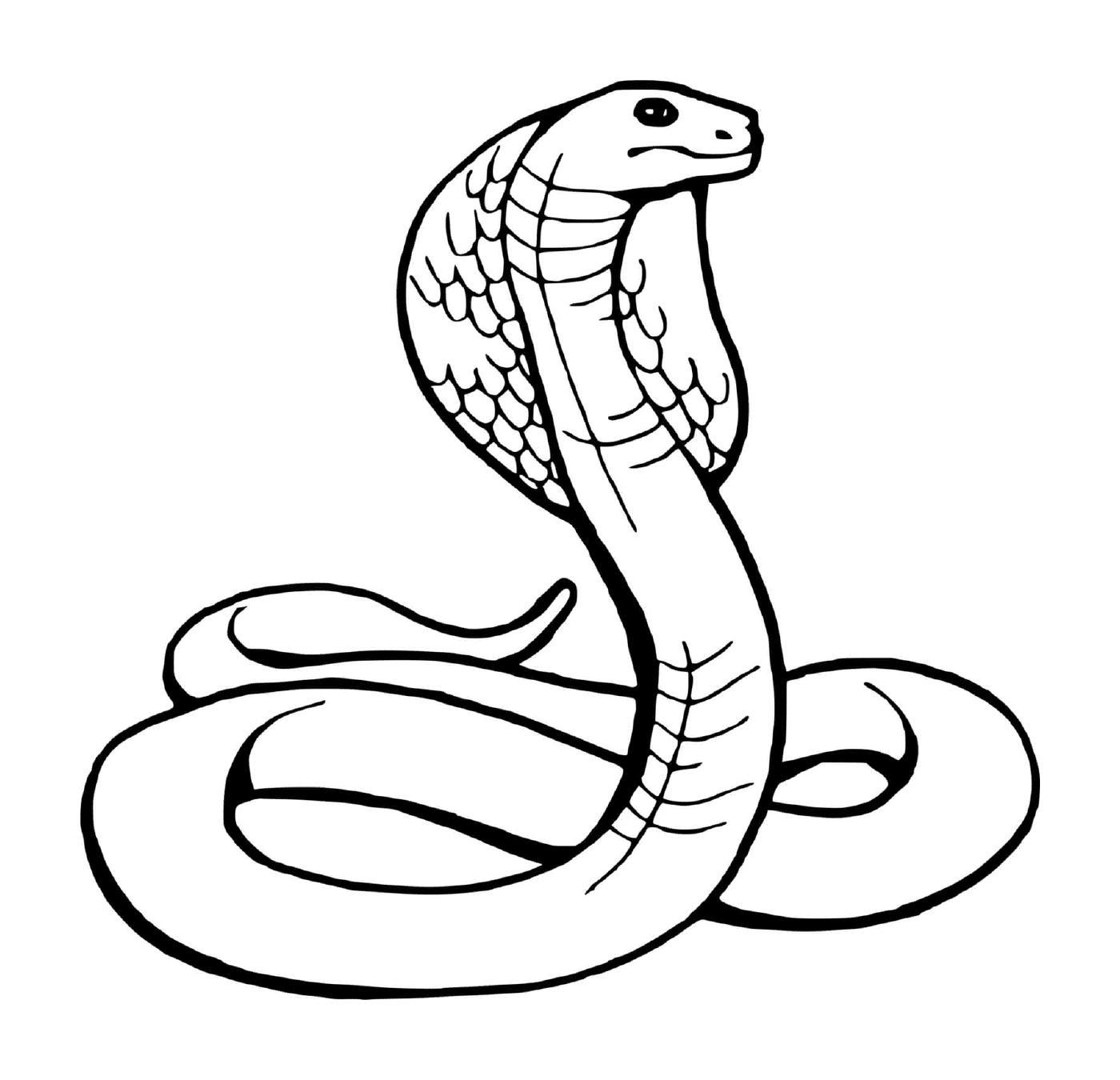 coloriage serpent snake