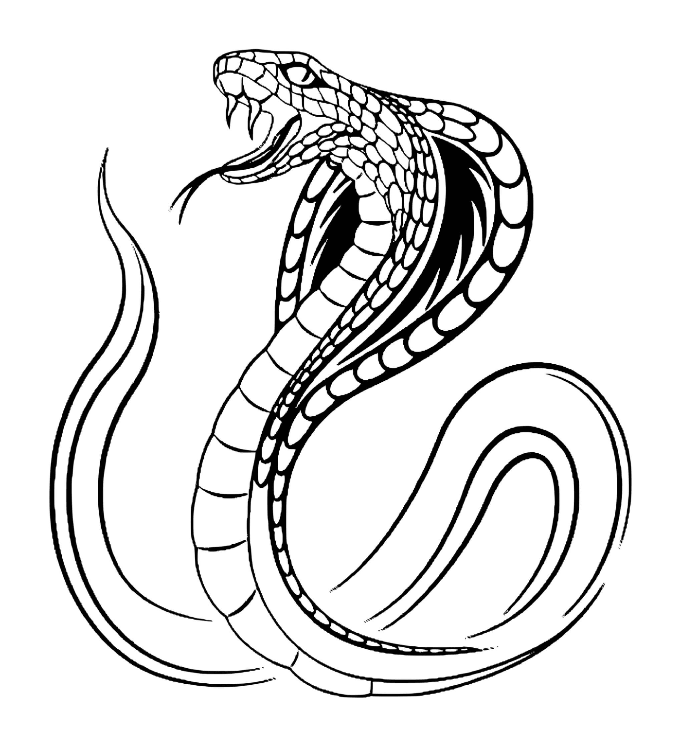coloriage serpent cobra