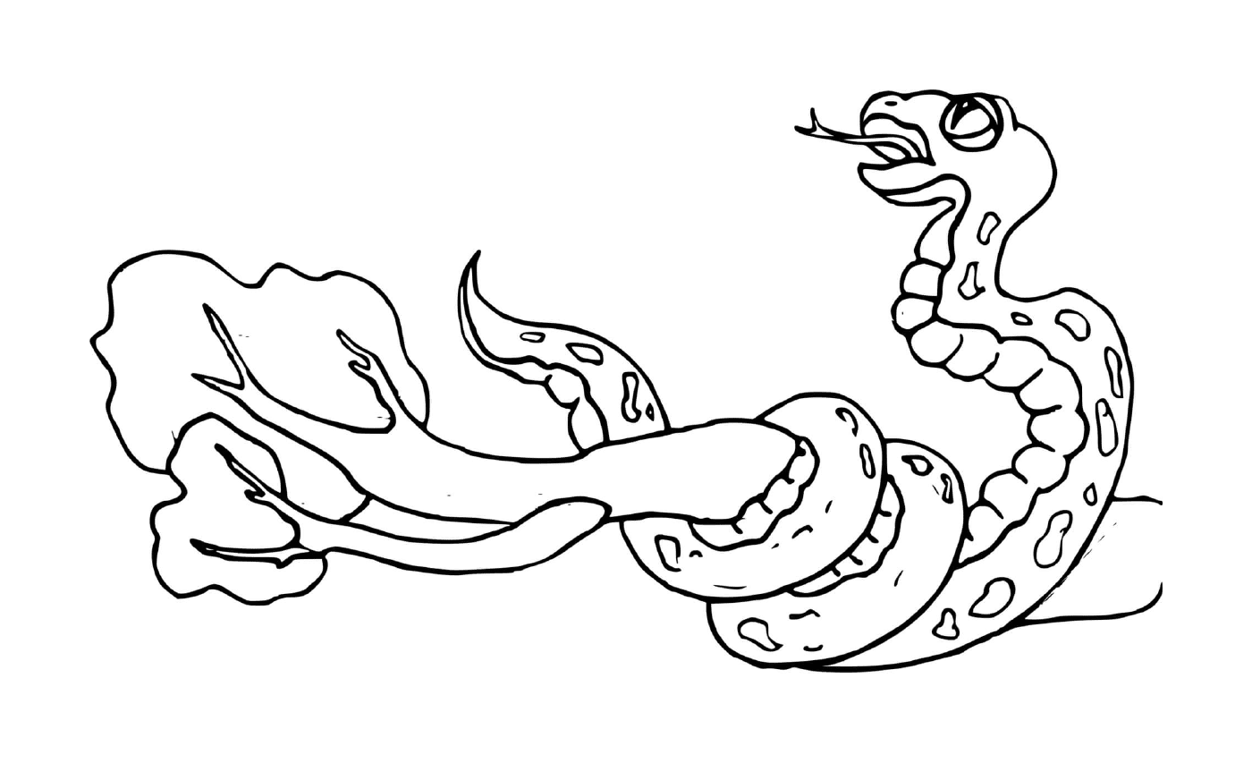 coloriage serpent enroulant une branche