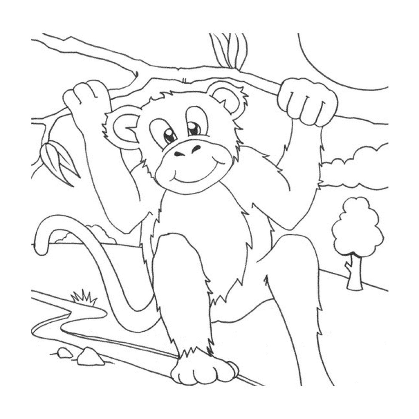 coloriage un singe dans la foret