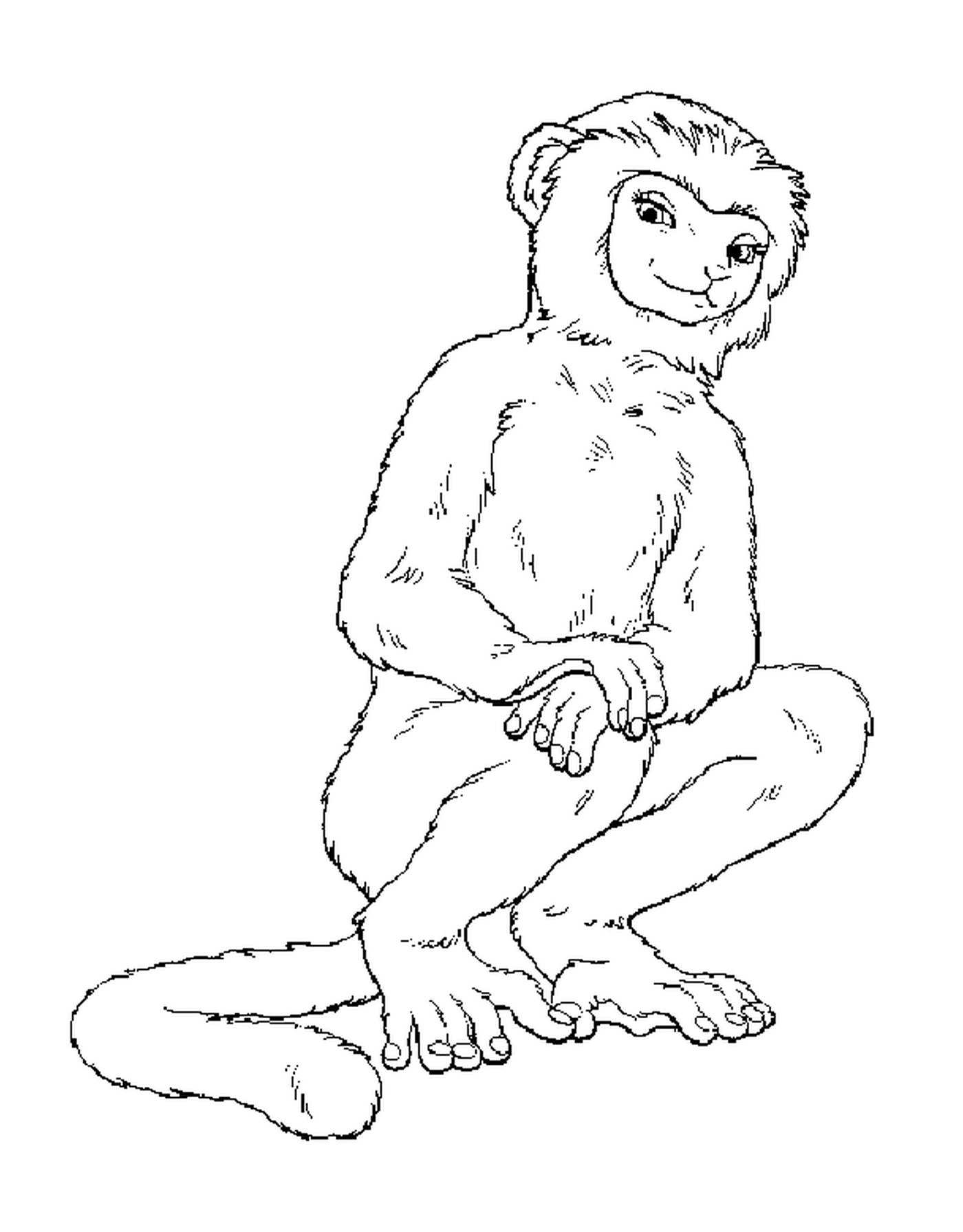 coloriage dessin d un singe
